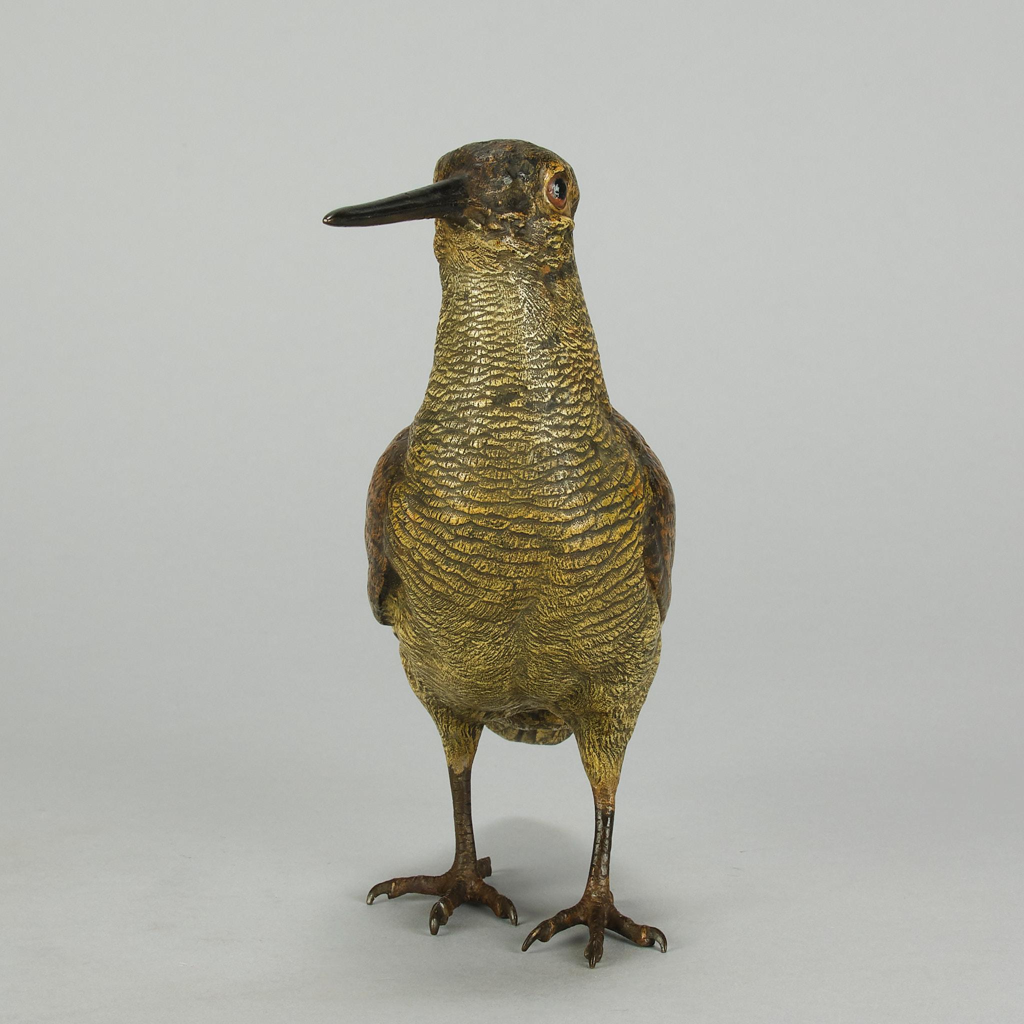 Calco Beccaccia austriaca dei primi del Novecento, dipinta a freddo, di Franz Bergman in vendita