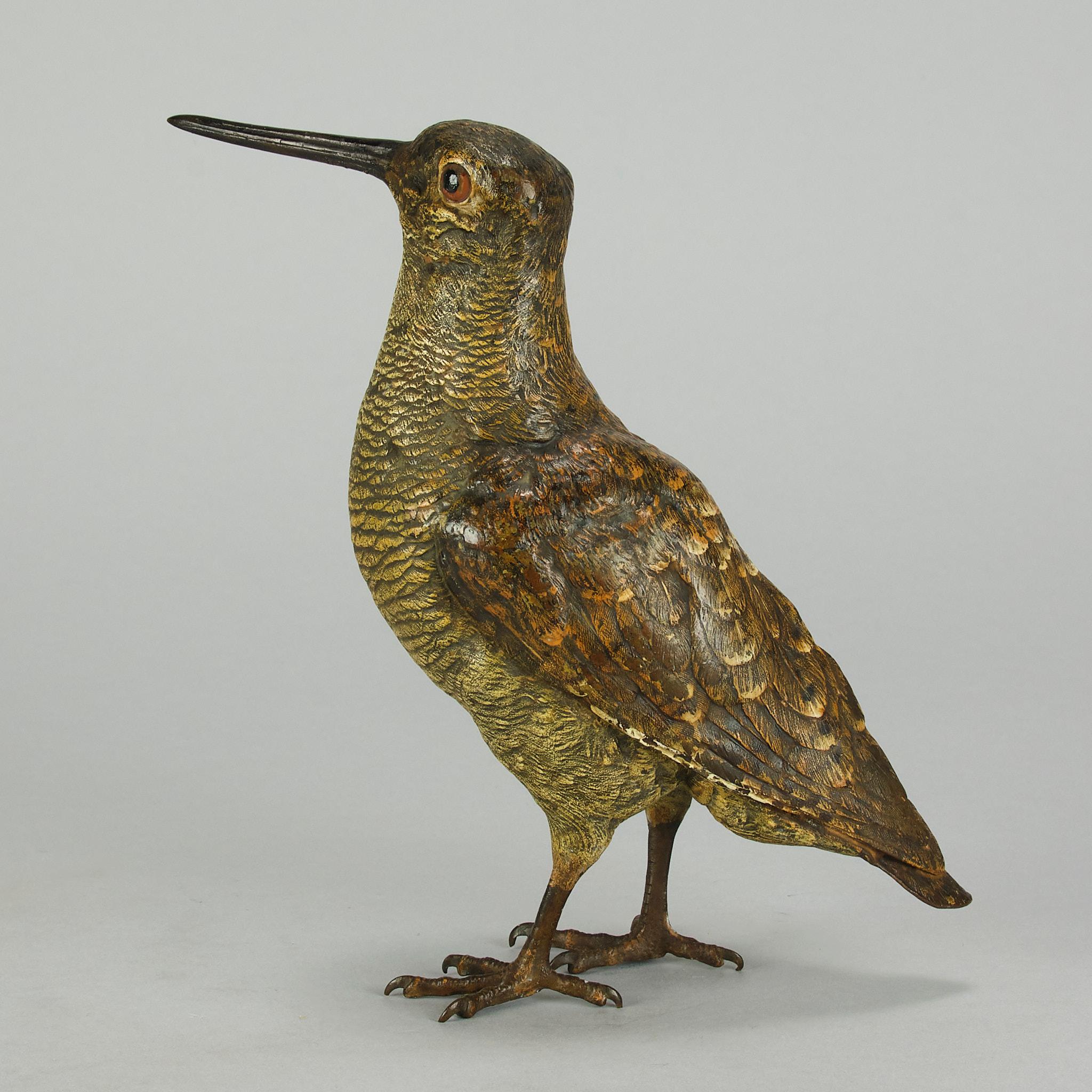Beccaccia austriaca dei primi del Novecento, dipinta a freddo, di Franz Bergman In condizioni ottime in vendita a London, GB