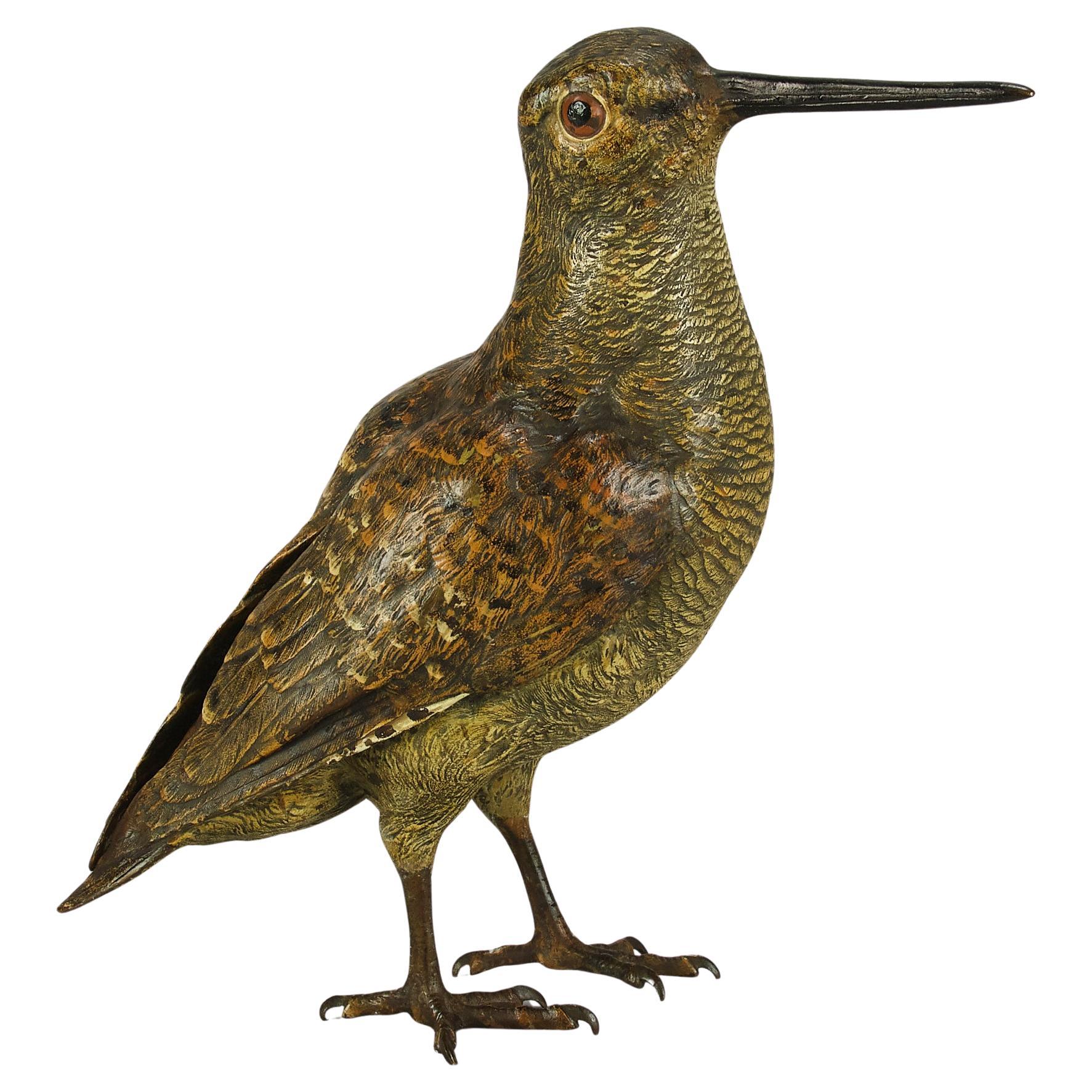 Bronce austriaco pintado en frío de principios del siglo XX "Woodcock" de Franz Bergman