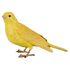Early 20th Century Cold-Painted Bronze entitled "Canary" by Franz Bergman