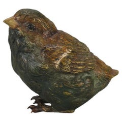 Early 20th Century Cold-Painted Bronze entitled "Chick I" by Franz Bergman