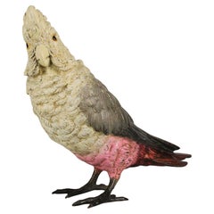Cold-bemalte Bronze des frühen 20. Jahrhunderts mit dem Titel „Cockatoo“ von Franz Bergman