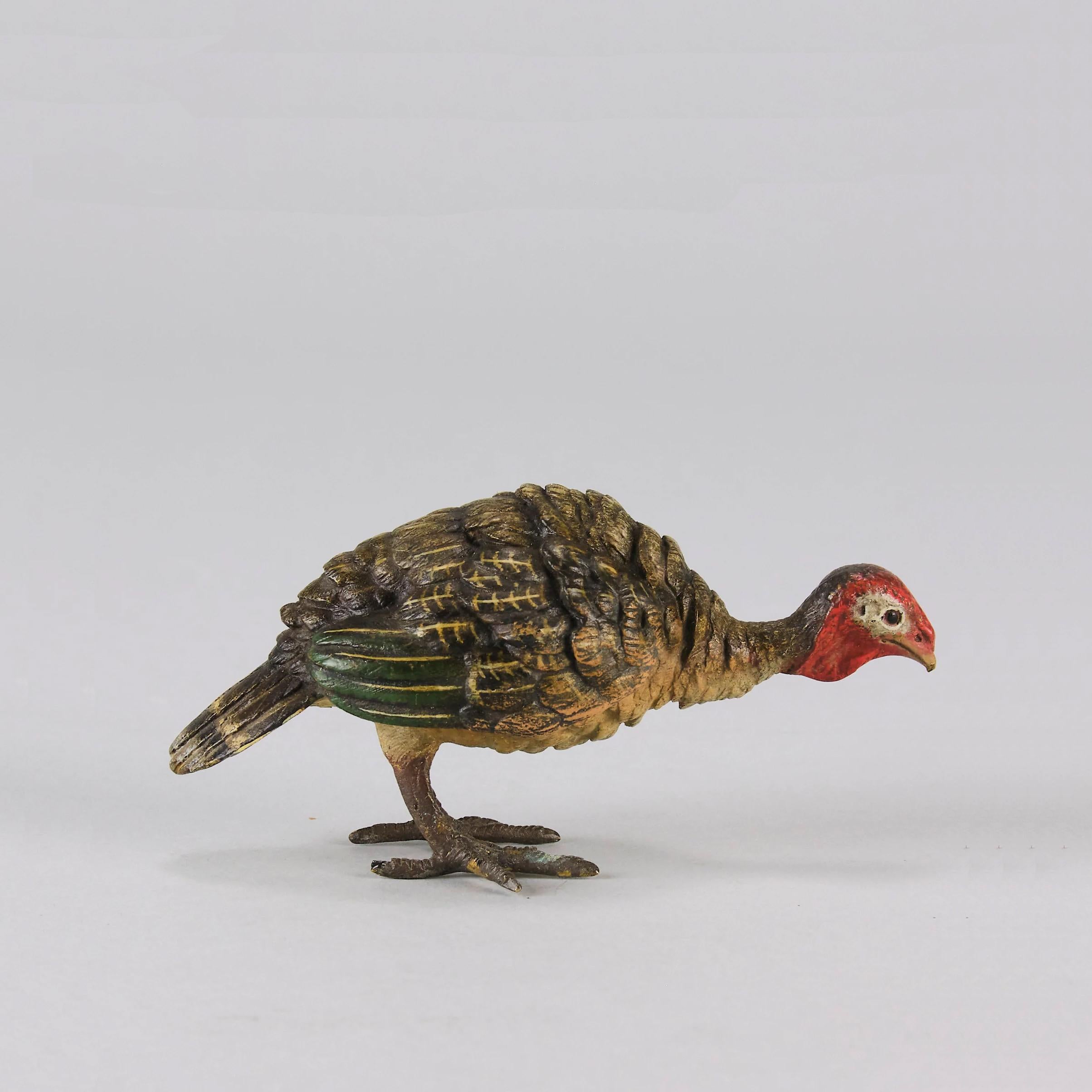 A very fine early 20th Century cold painted Austrian bronze figure of a feeding turkey. This bronze study has excellent naturalistic colour and very fine hand finished detail, signed with the Bergman 'B' in an amphora vase, stamped Geschutzt and