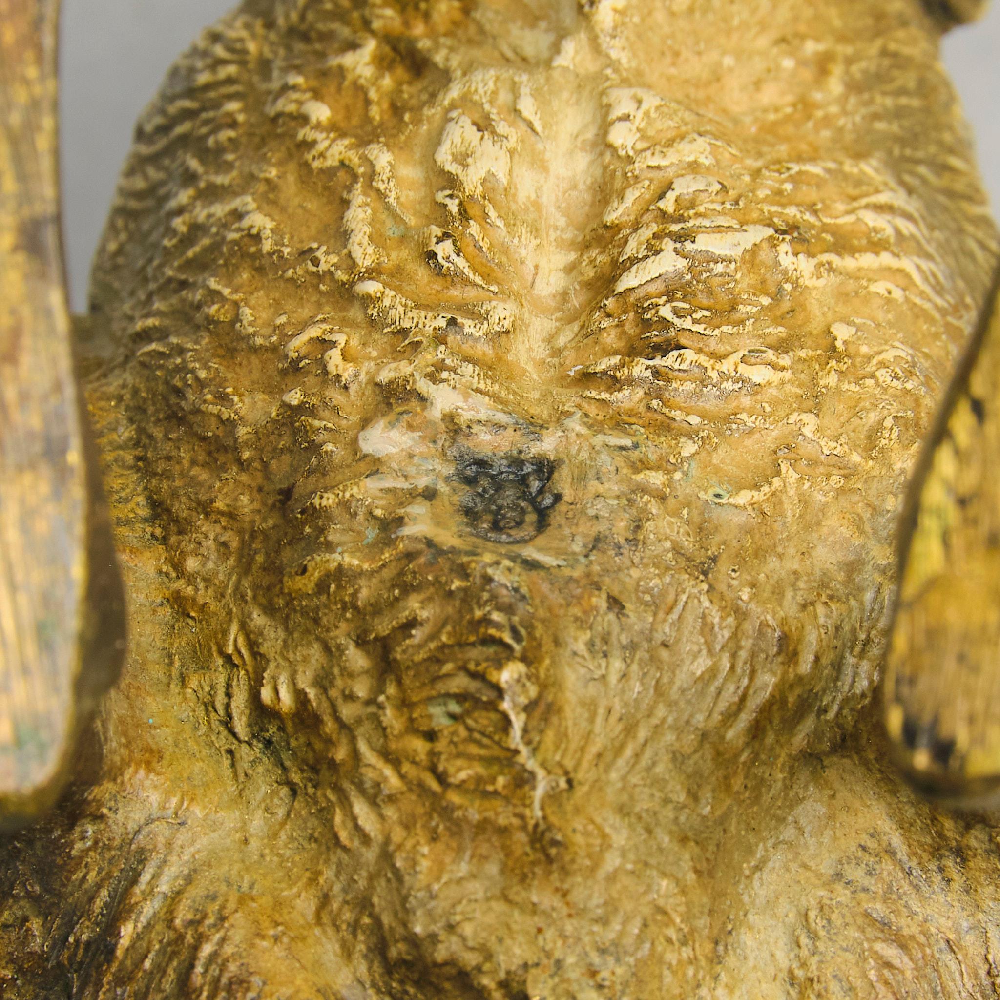 Cold-bemalte Bronze des frühen 20. Jahrhunderts mit dem Titel „Kangaroo“ von Franz Bergman im Angebot 6