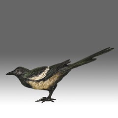 Early 20th Century Cold-Painted Bronze entitled "Magpie" by Franz Bergman