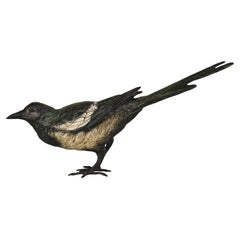 Early 20th Century Cold-Painted Bronze entitled "Magpie" by Franz Bergman