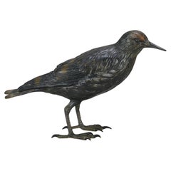 Early 20th Century Cold-Painted Bronze Entitled "Starling" by Franz Bergman