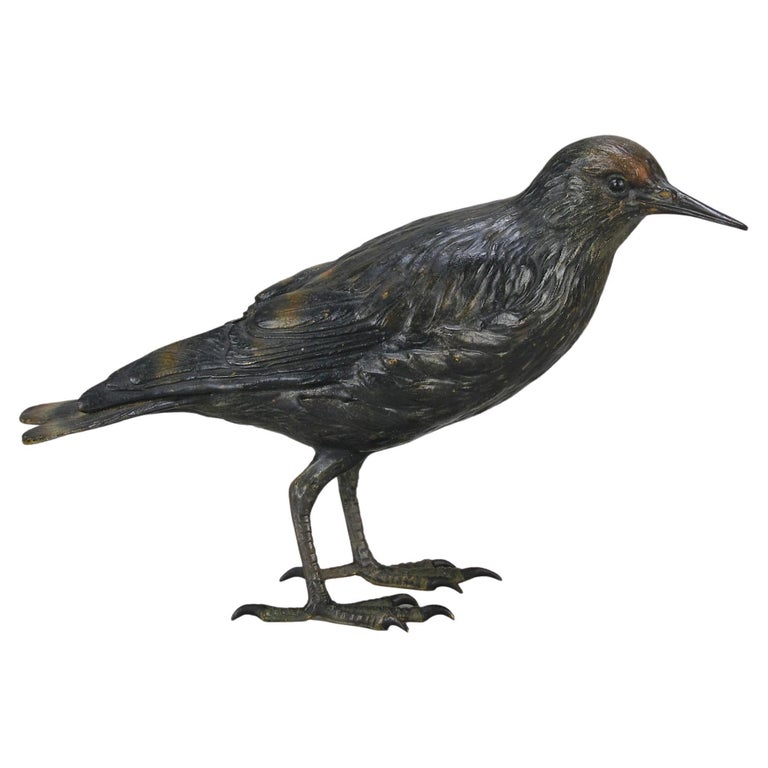 Early 20th Century Cold-Painted Bronze Entitled "Starling" by Franz Bergman For Sale