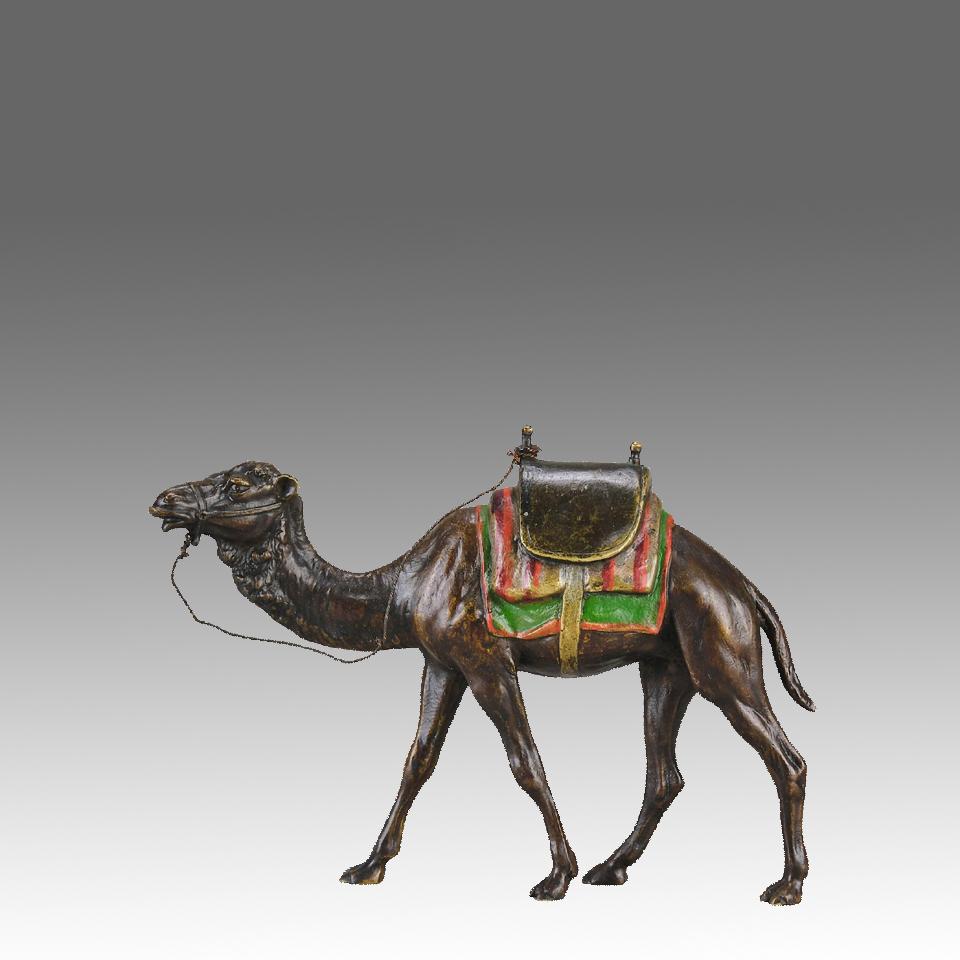 Très belle étude autrichienne en bronze du début du 20e siècle représentant un chameau entièrement plaqué, avec un travail de surface finement détaillé et une couleur naturaliste originale peinte à froid. Cette pièce méticuleusement réalisée est