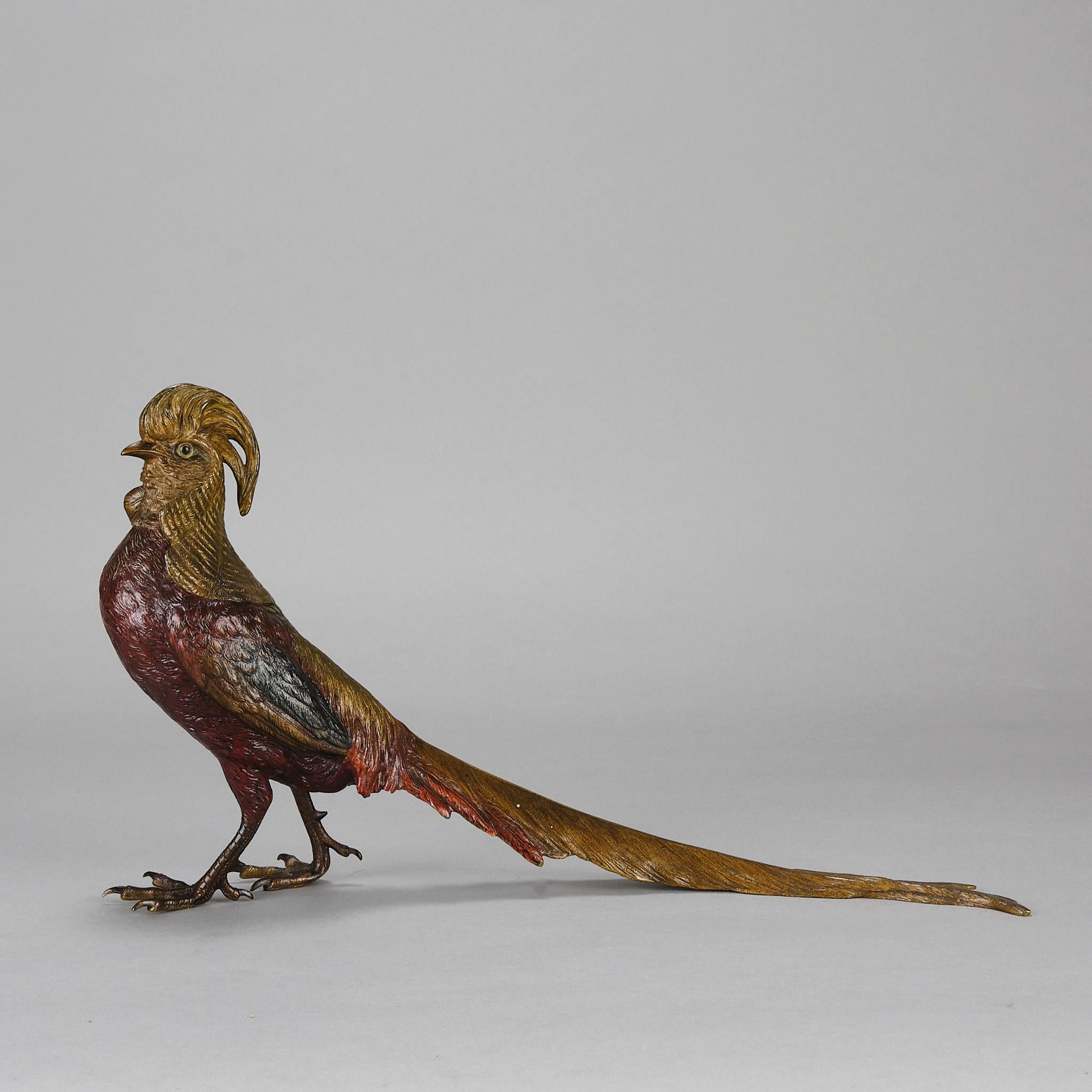 Uno straordinario studio in bronzo austriaco dei primi anni del XX secolo raffigurante un fagiano dorato in piedi, con vivaci colori dipinti a freddo ed eccellenti dettagli cesellati a mano, firmato con la lettera 