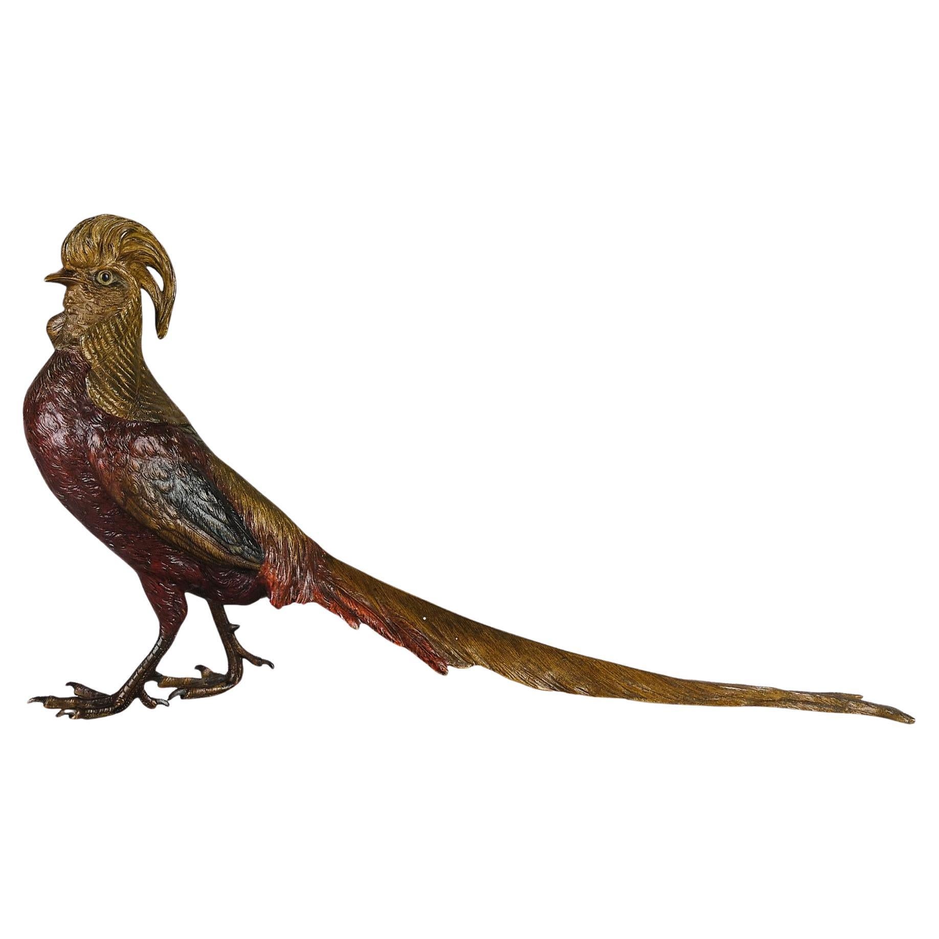 Early 20th Century Cold-Painted Bronze "Golden Pheasant" by Franz Bergman