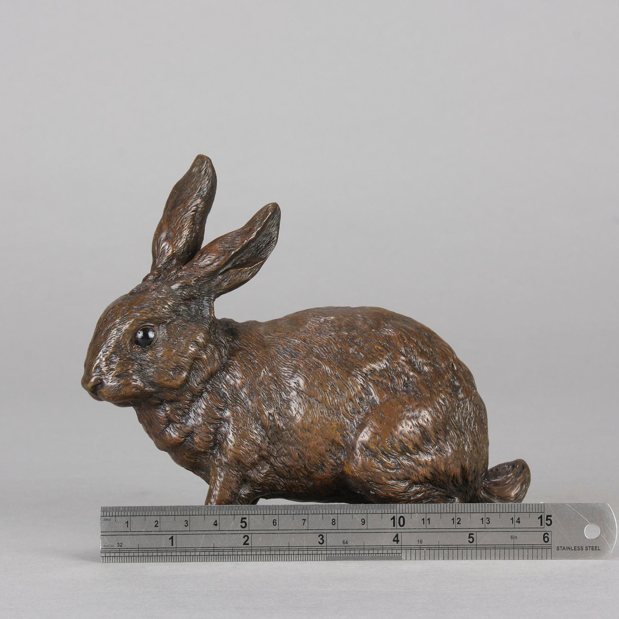 Cold-bemalte Bronze „Rabbit“ von Franz Bergman aus dem frühen 20. Jahrhundert im Angebot 5