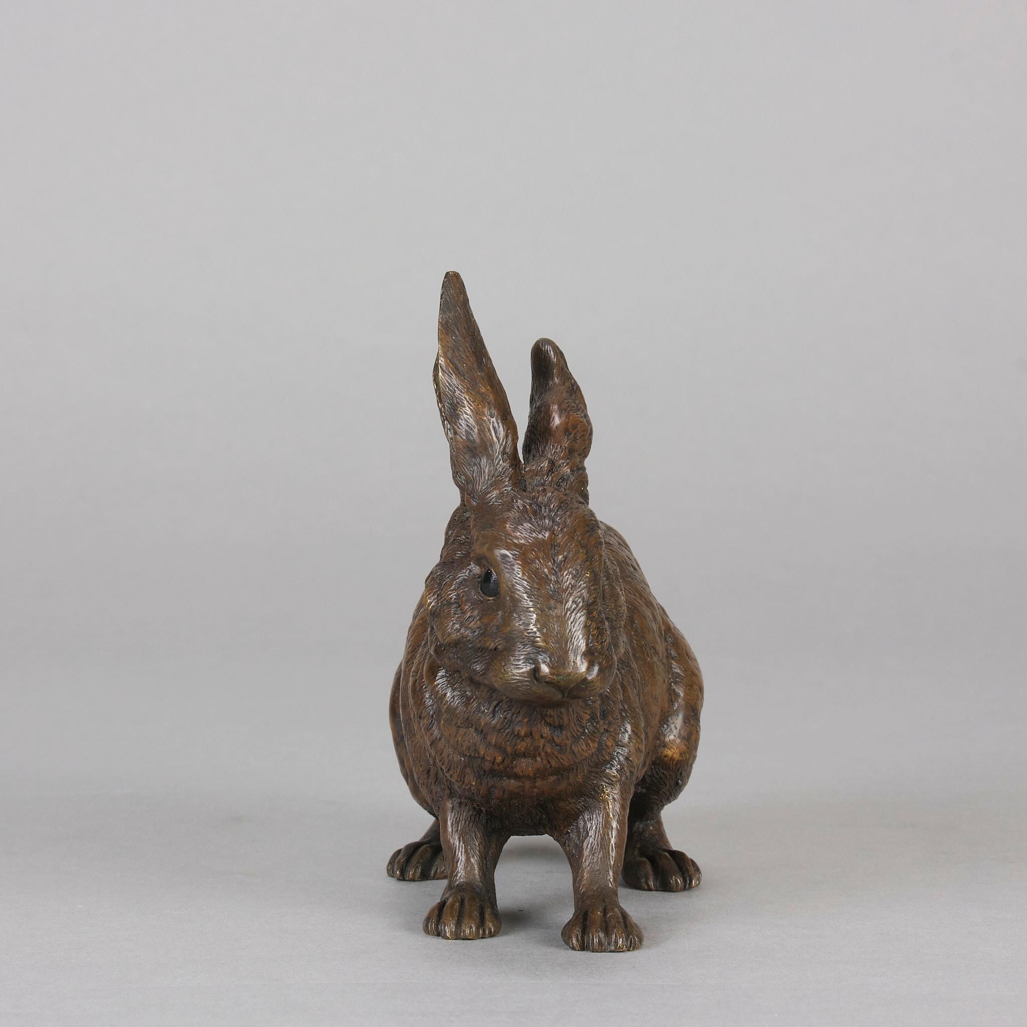 Cold-bemalte Bronze „Rabbit“ von Franz Bergman aus dem frühen 20. Jahrhundert (Gegossen) im Angebot