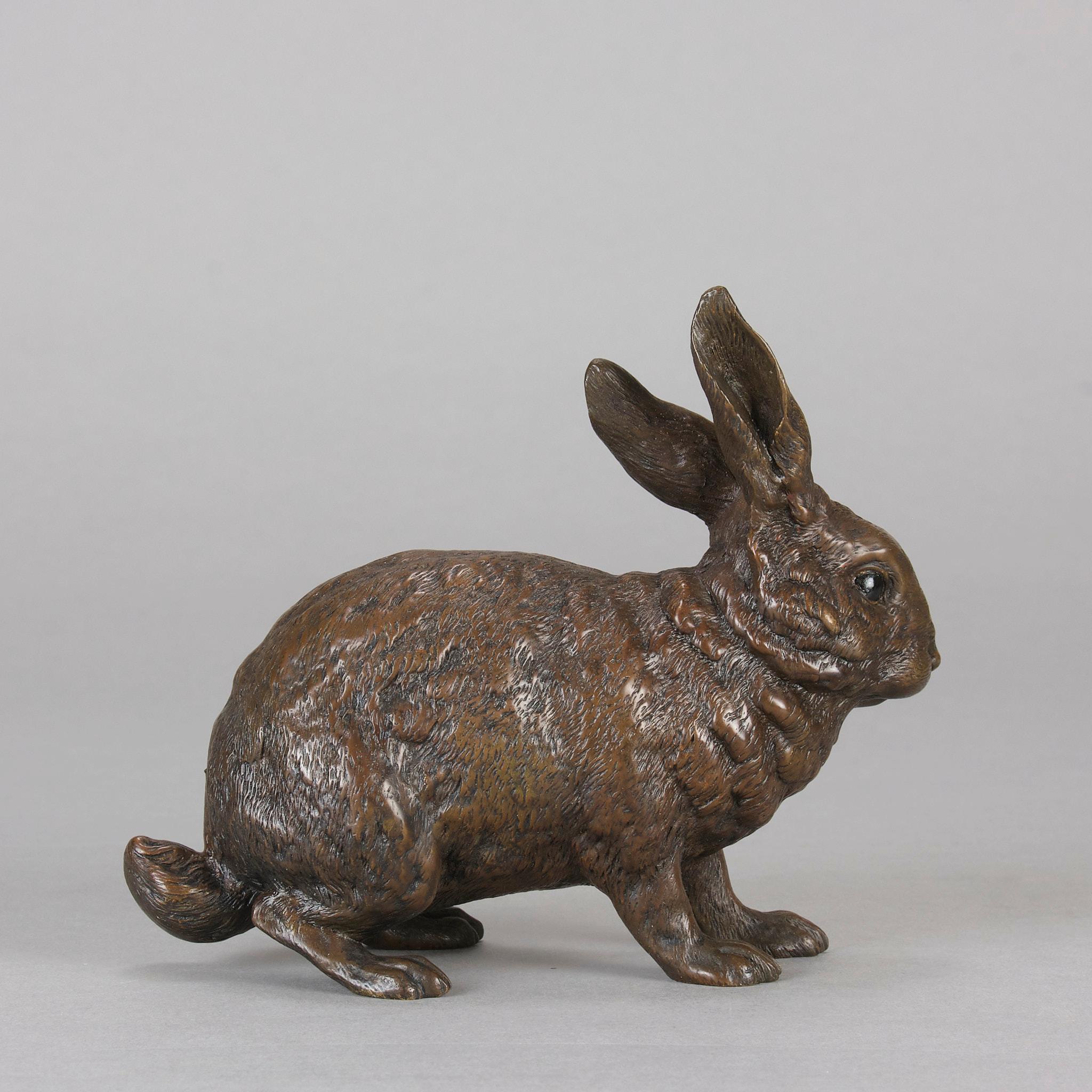 Cold-bemalte Bronze „Rabbit“ von Franz Bergman aus dem frühen 20. Jahrhundert im Angebot 1