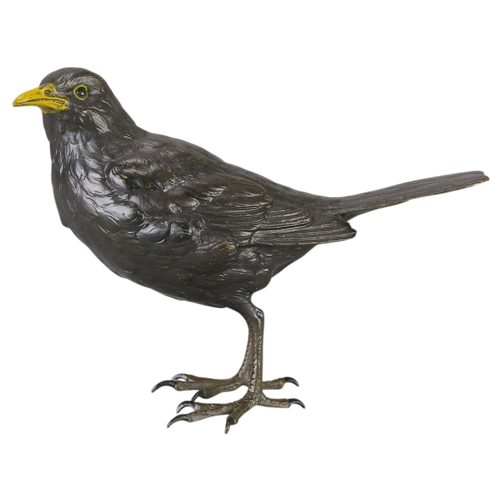 Early 20th Century Cold-Painted Bronze "Standing Blackbird" by Franz Bergman For Sale