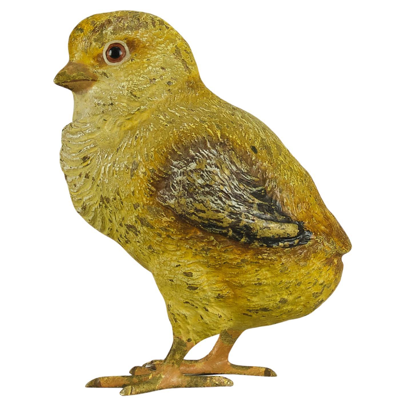 Early 20th Century Cold-Painted Bronze "Standing Chick" by Franz Bergman For Sale