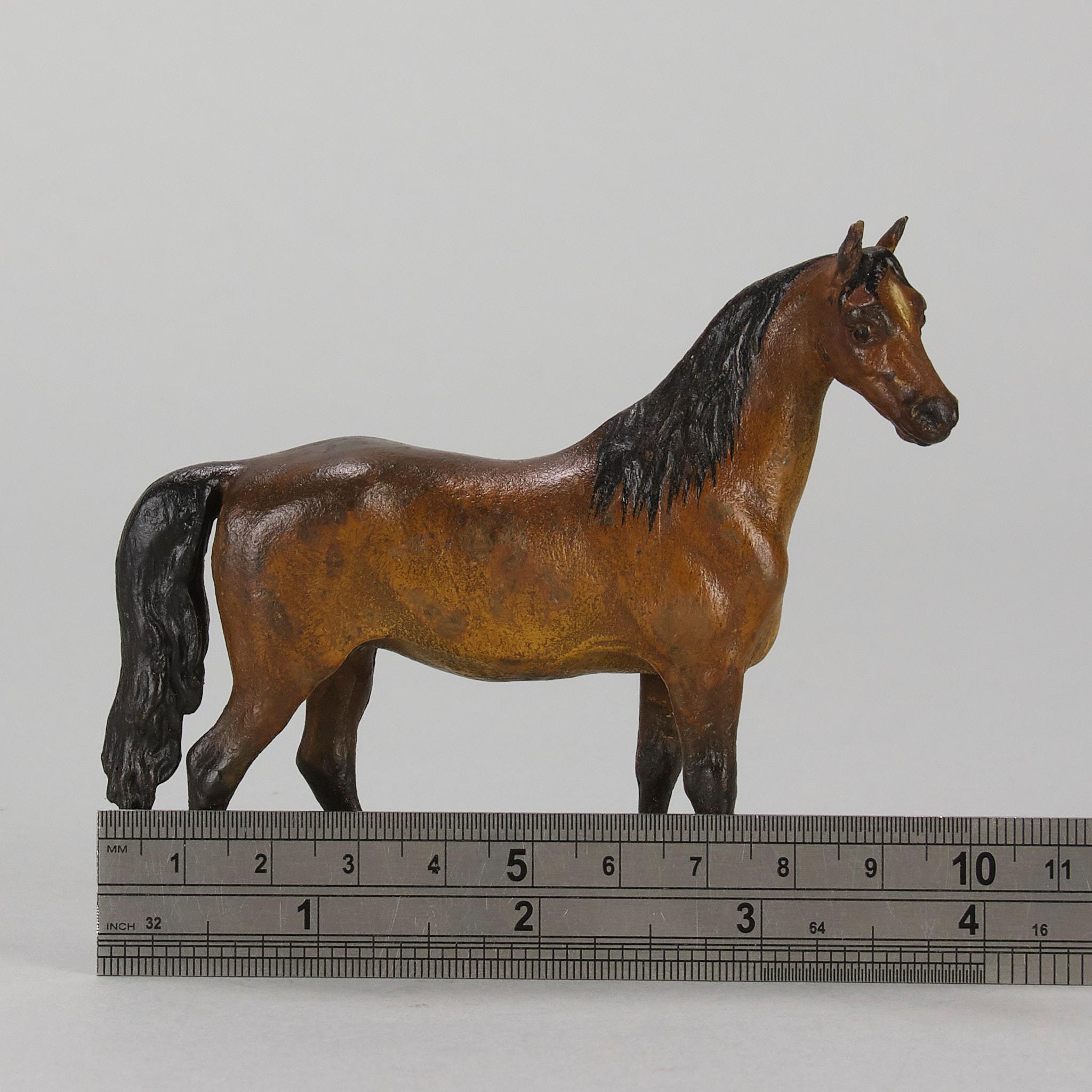 « Cheval debout » peint à froid du début du 20e siècle par Franz Bergman en vente 4