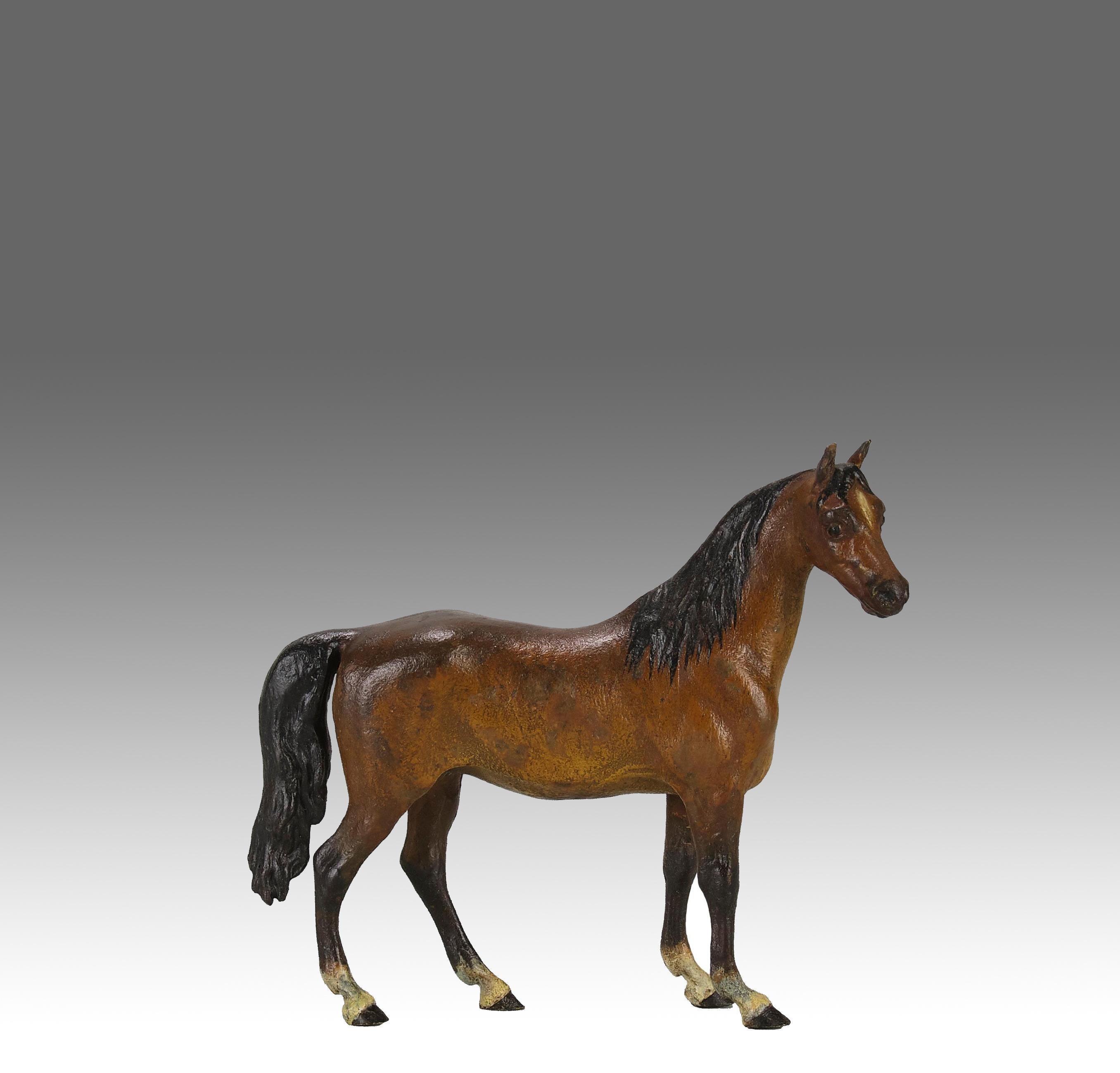 Charmante étude en bronze autrichien d'un cheval debout avec d'excellentes couleurs naturalistes peintes à froid et de très beaux détails de surface ciselés à la main. Signé avec le 