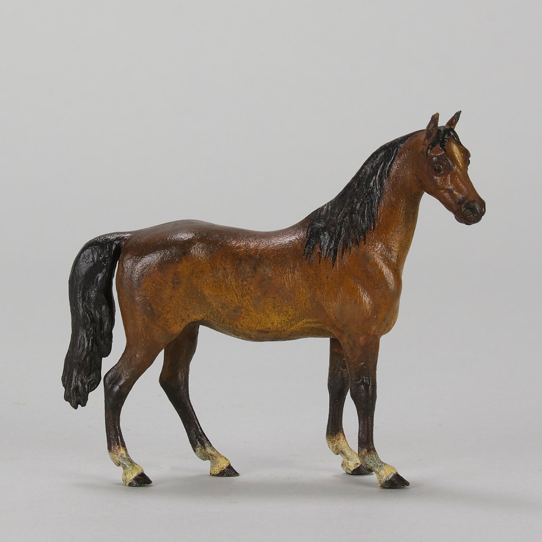 Autrichien « Cheval debout » peint à froid du début du 20e siècle par Franz Bergman en vente