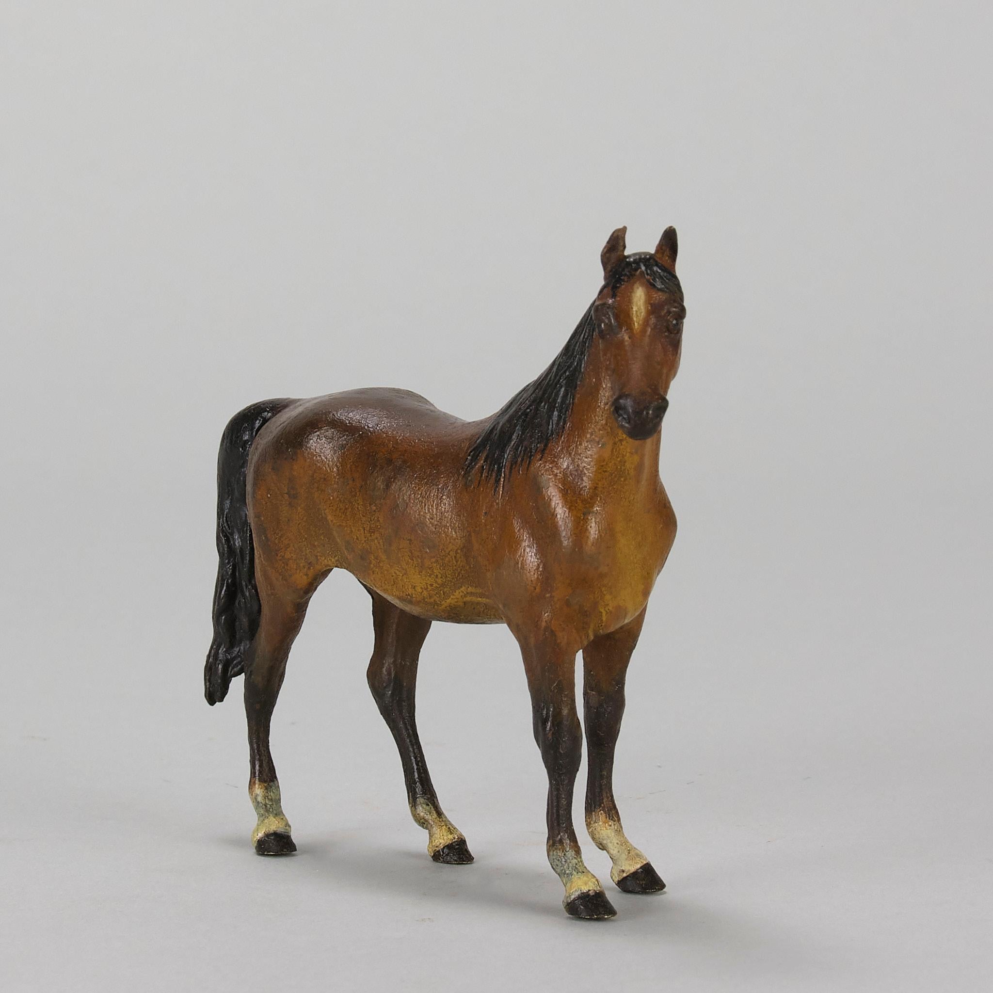 Moulage « Cheval debout » peint à froid du début du 20e siècle par Franz Bergman en vente