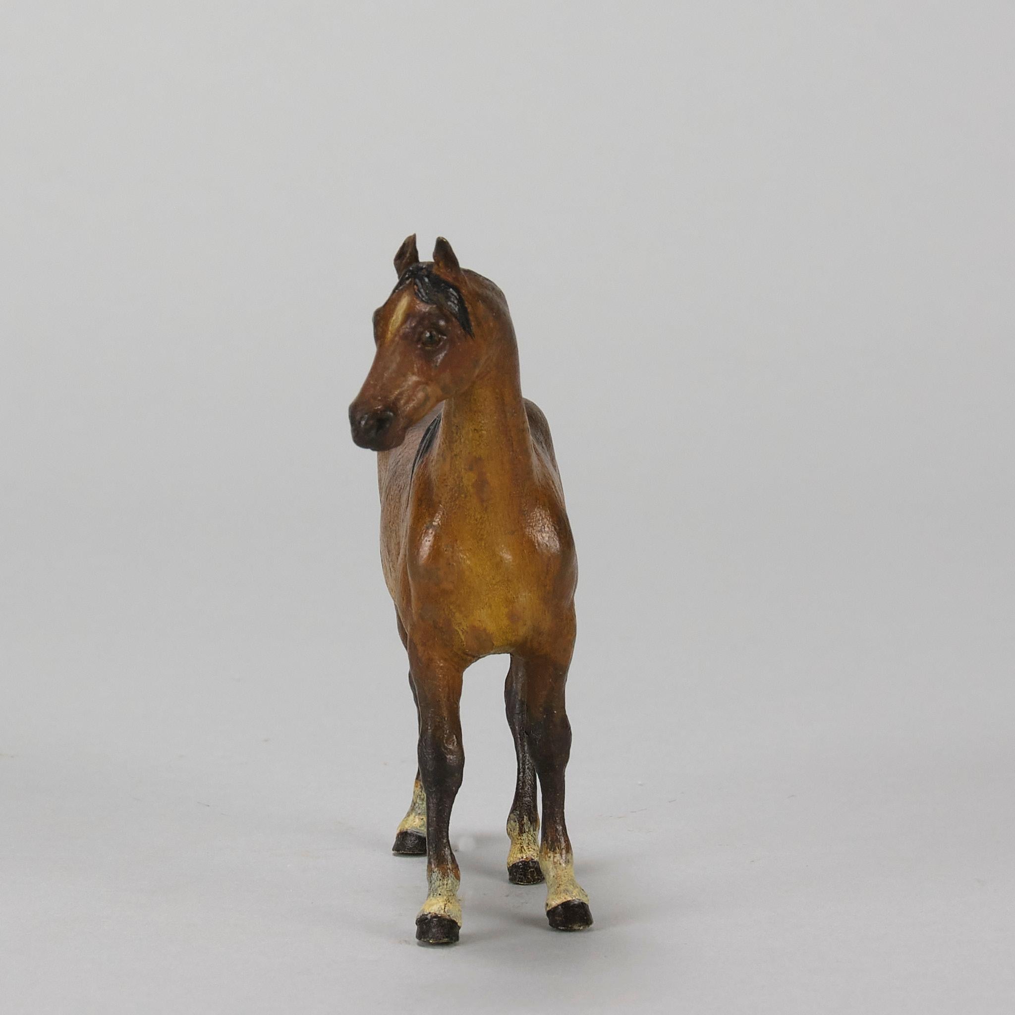 « Cheval debout » peint à froid du début du 20e siècle par Franz Bergman Excellent état - En vente à London, GB