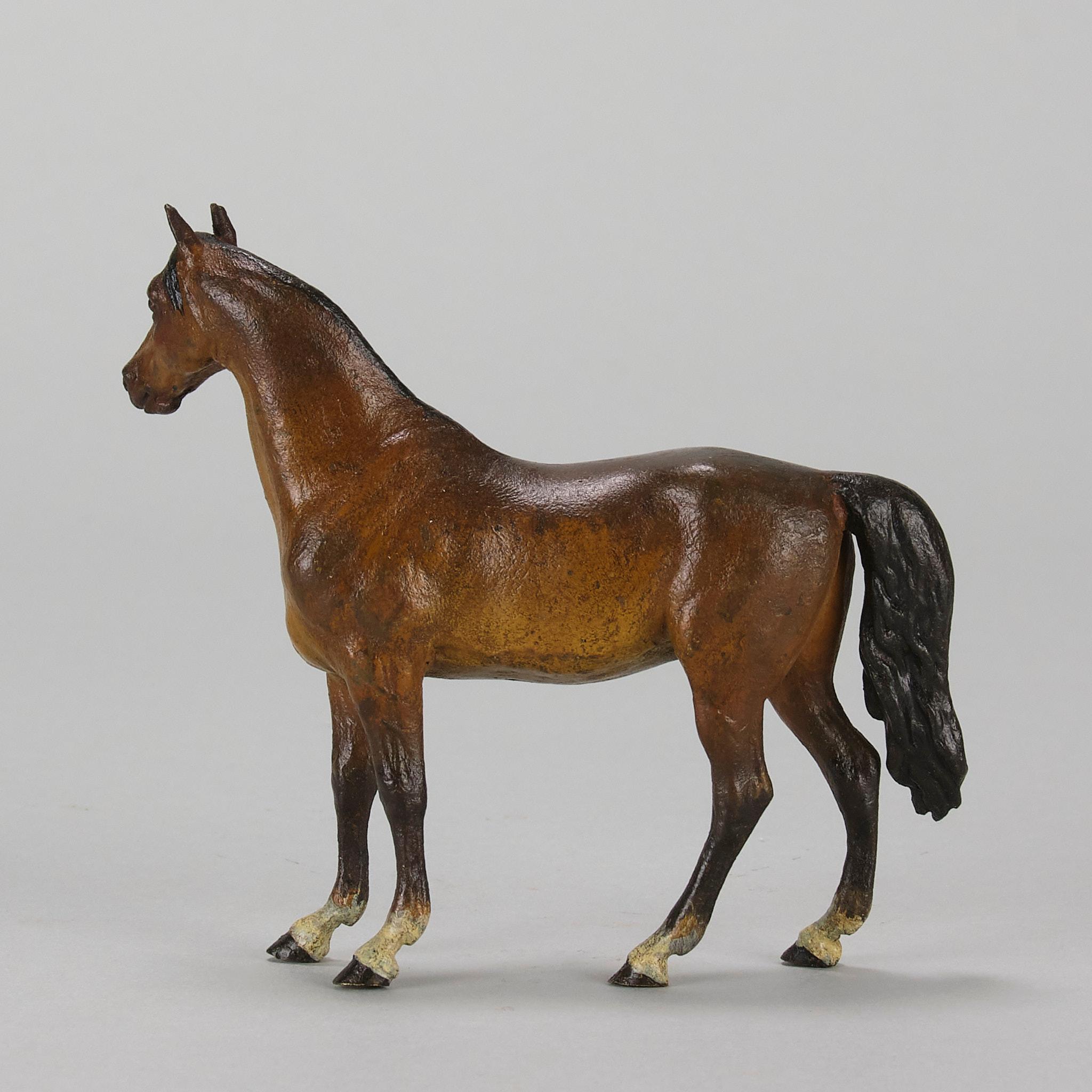 Bronze « Cheval debout » peint à froid du début du 20e siècle par Franz Bergman en vente