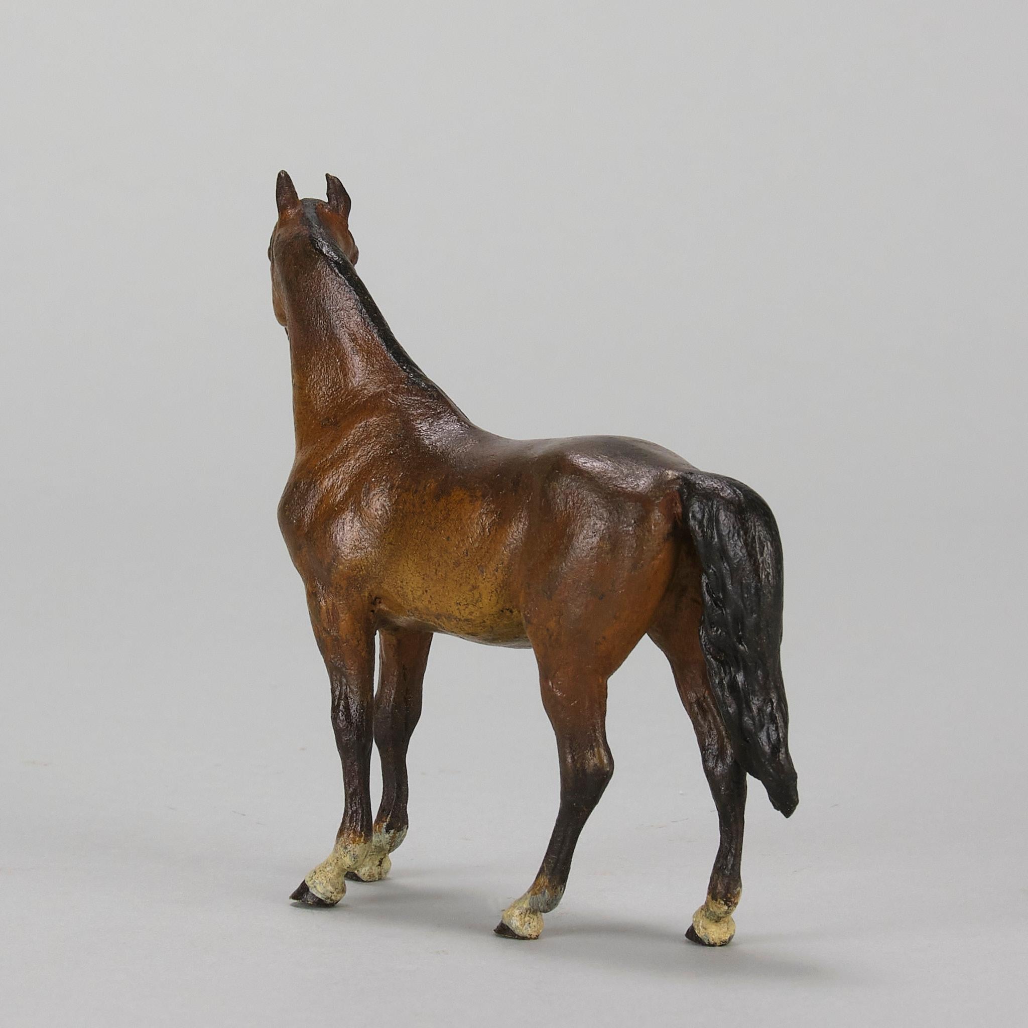 « Cheval debout » peint à froid du début du 20e siècle par Franz Bergman en vente 1