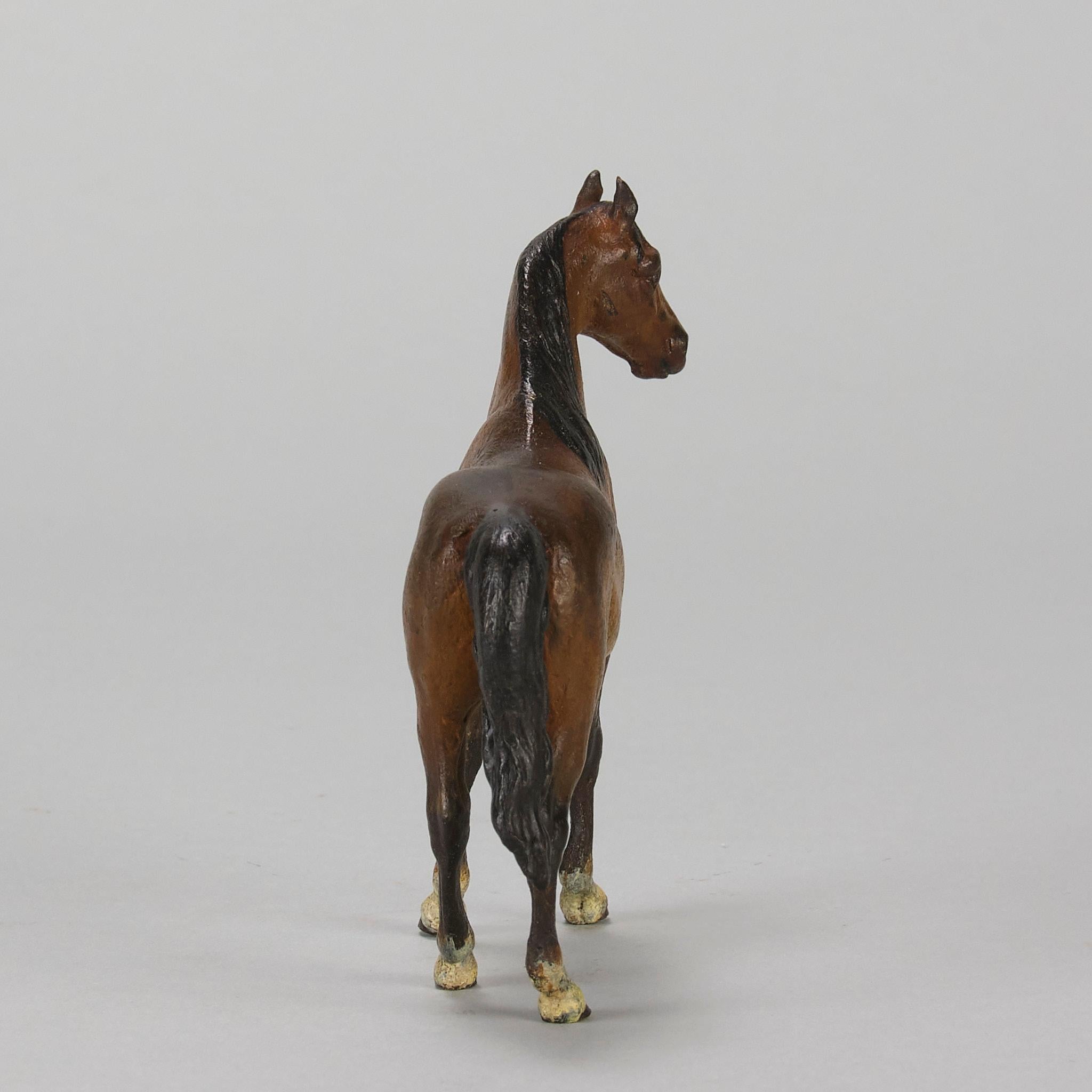 « Cheval debout » peint à froid du début du 20e siècle par Franz Bergman en vente 2