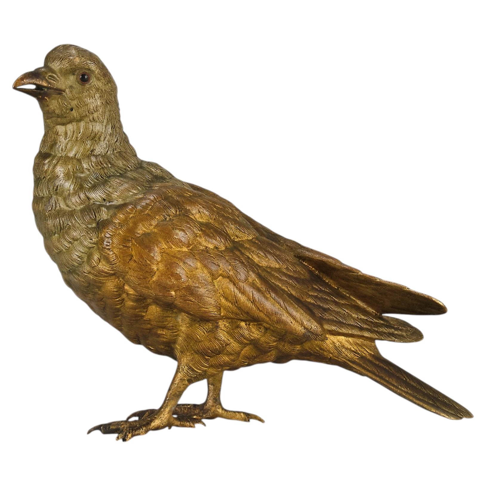 Studio in bronzo dipinto a freddo dell’inizio del XX secolo, intitolato “Golden Pigeon”, di Franz Bergman