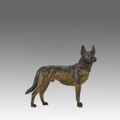 Early 20th Century Cold-Painted entitled 'Alsatian' by Franz Bergman