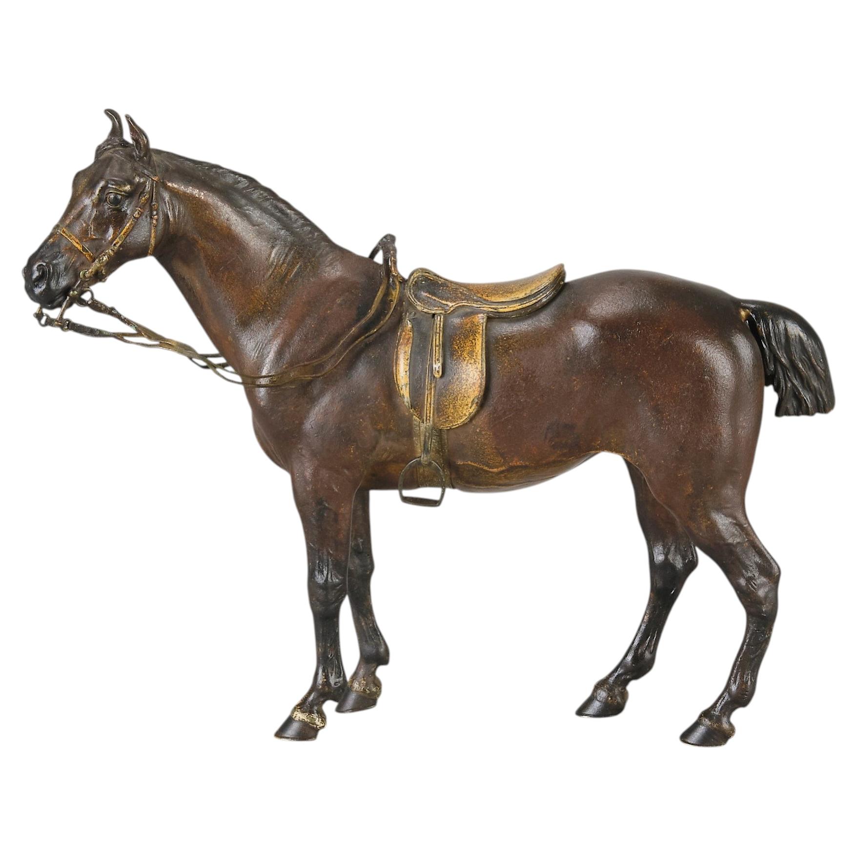 Early 20th Century Cold-Painted Bronze "Saddled Horse" by Franz Bergman