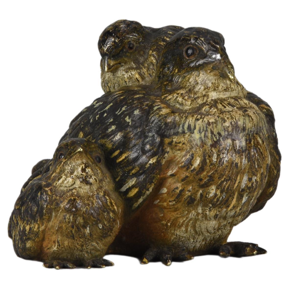 Early 20th Century Coldl-Painted Bronze Entitled "Bird Family" by Franz Bergman For Sale