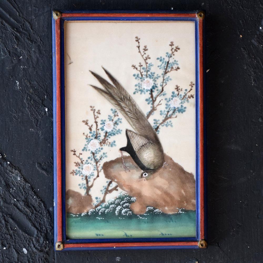 Early 20th Century Collection of Tropical Bird Paintings 4