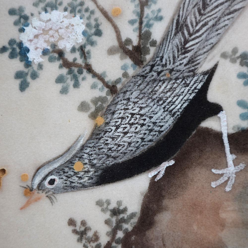 Early 20th Century Collection of Tropical Bird Paintings 1