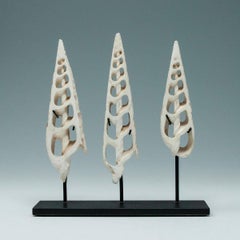 Early 20th Century Conus Shell Ornaments, Solomon Islands