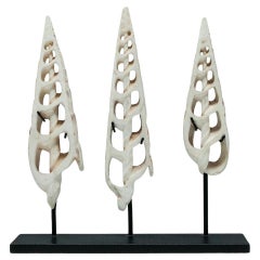 Early 20th Century Conus Shell Ornaments, Solomon Islands