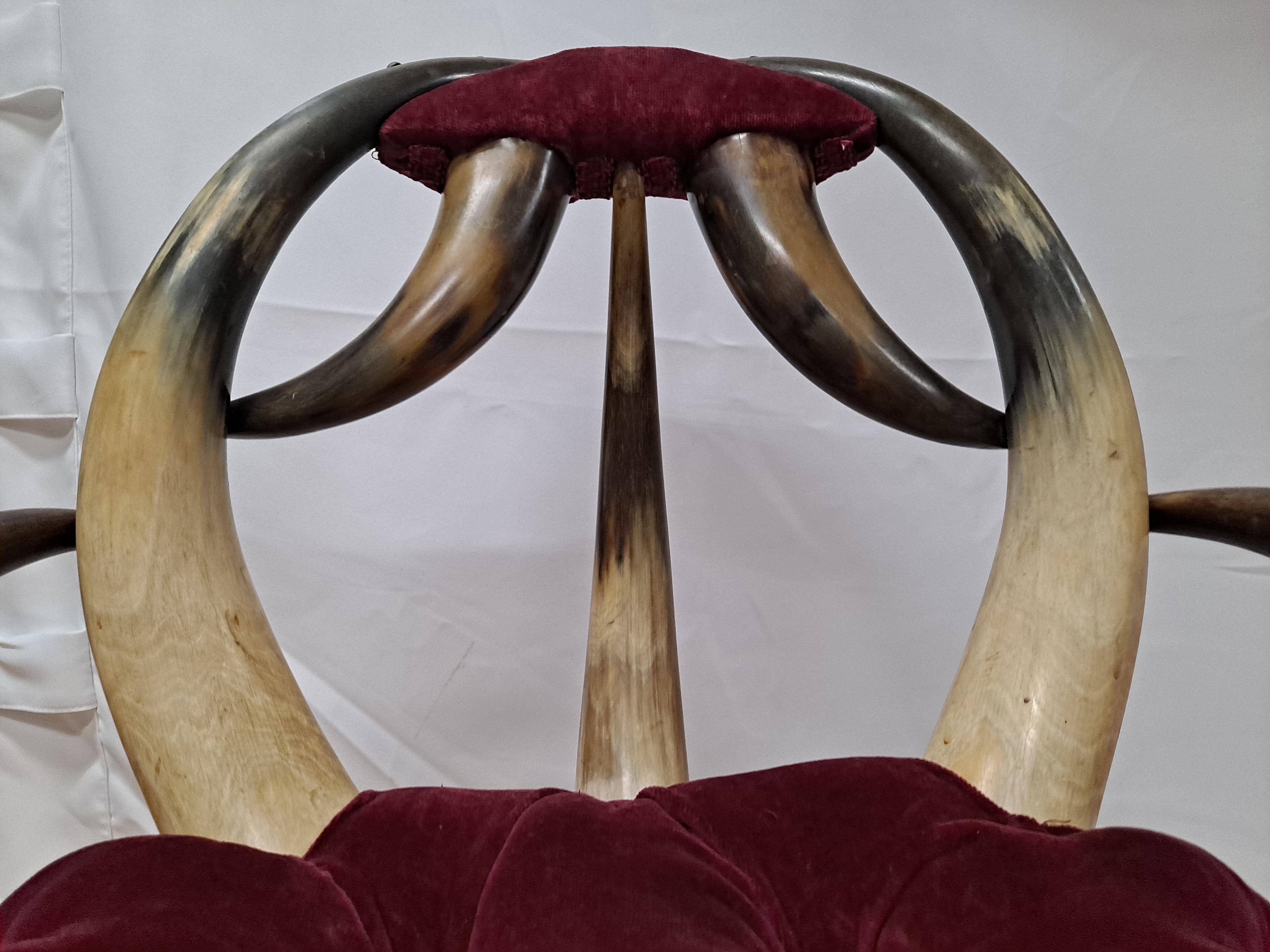 Early 20th Century Cow Horn Chair For Sale 2