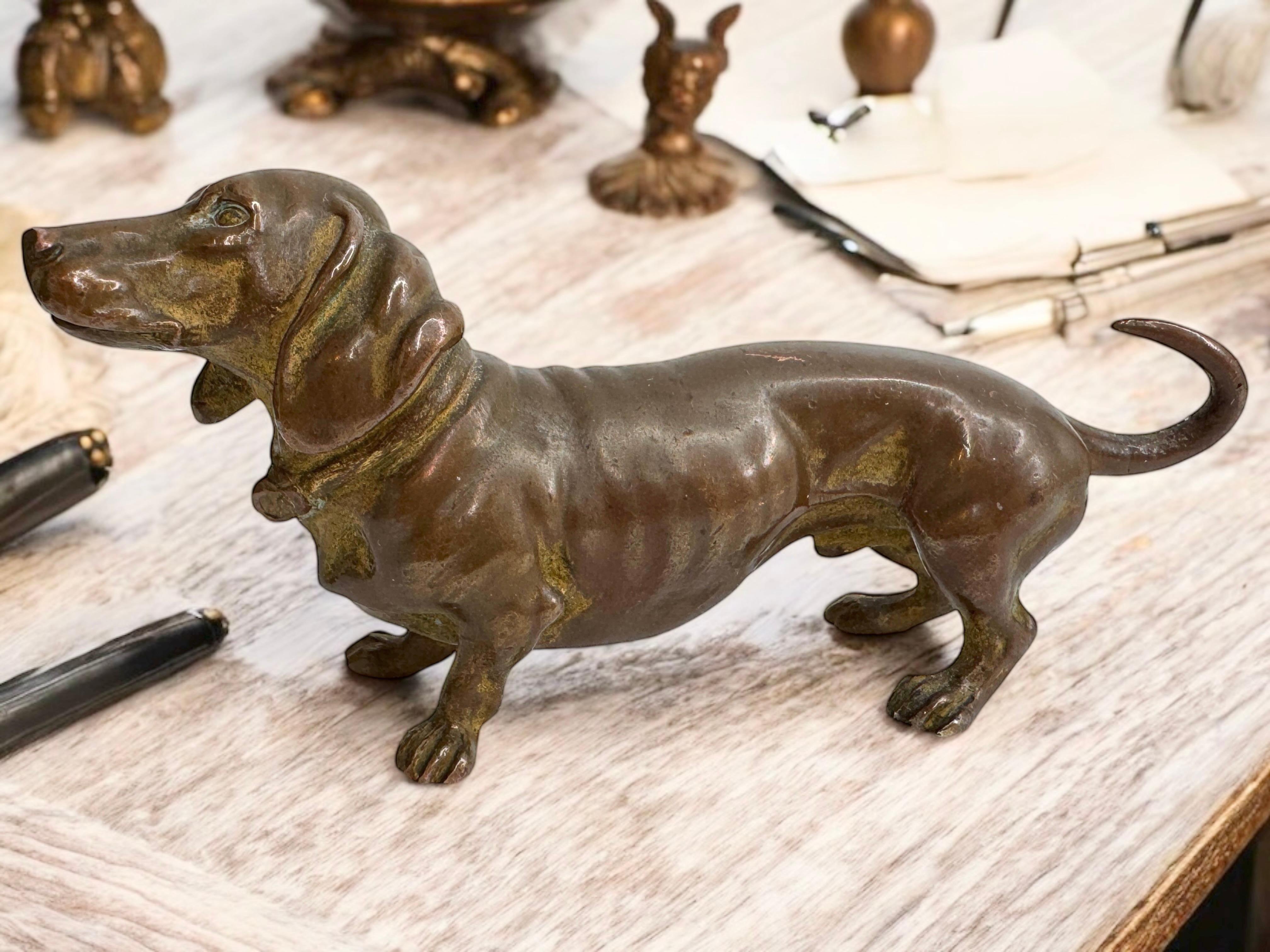 Début 20ème siècle Chien Teckel Autriche Vienne Bronze Figurine miniature 3