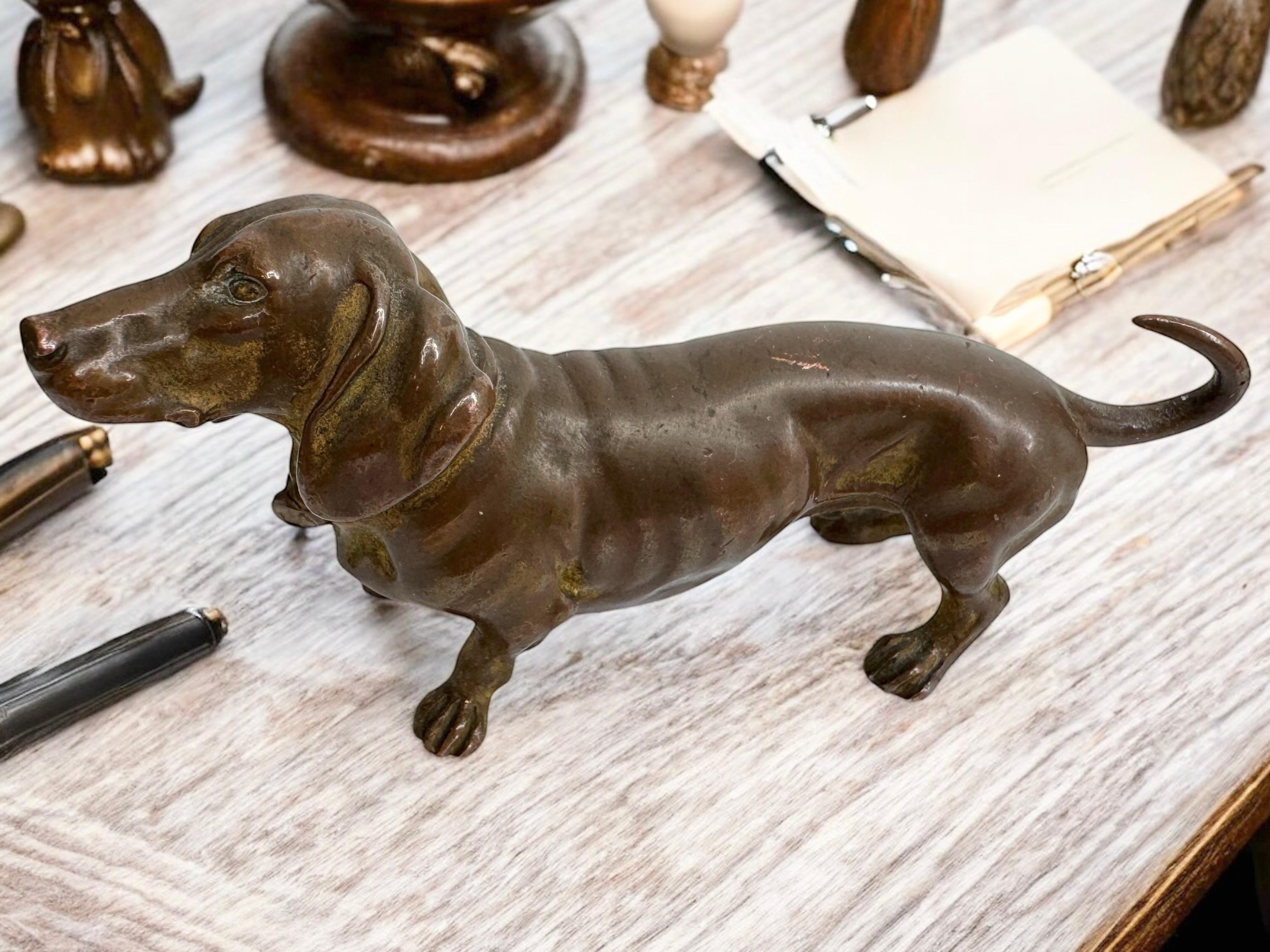 Début 20ème siècle Chien Teckel Autriche Vienne Bronze Figurine miniature 4