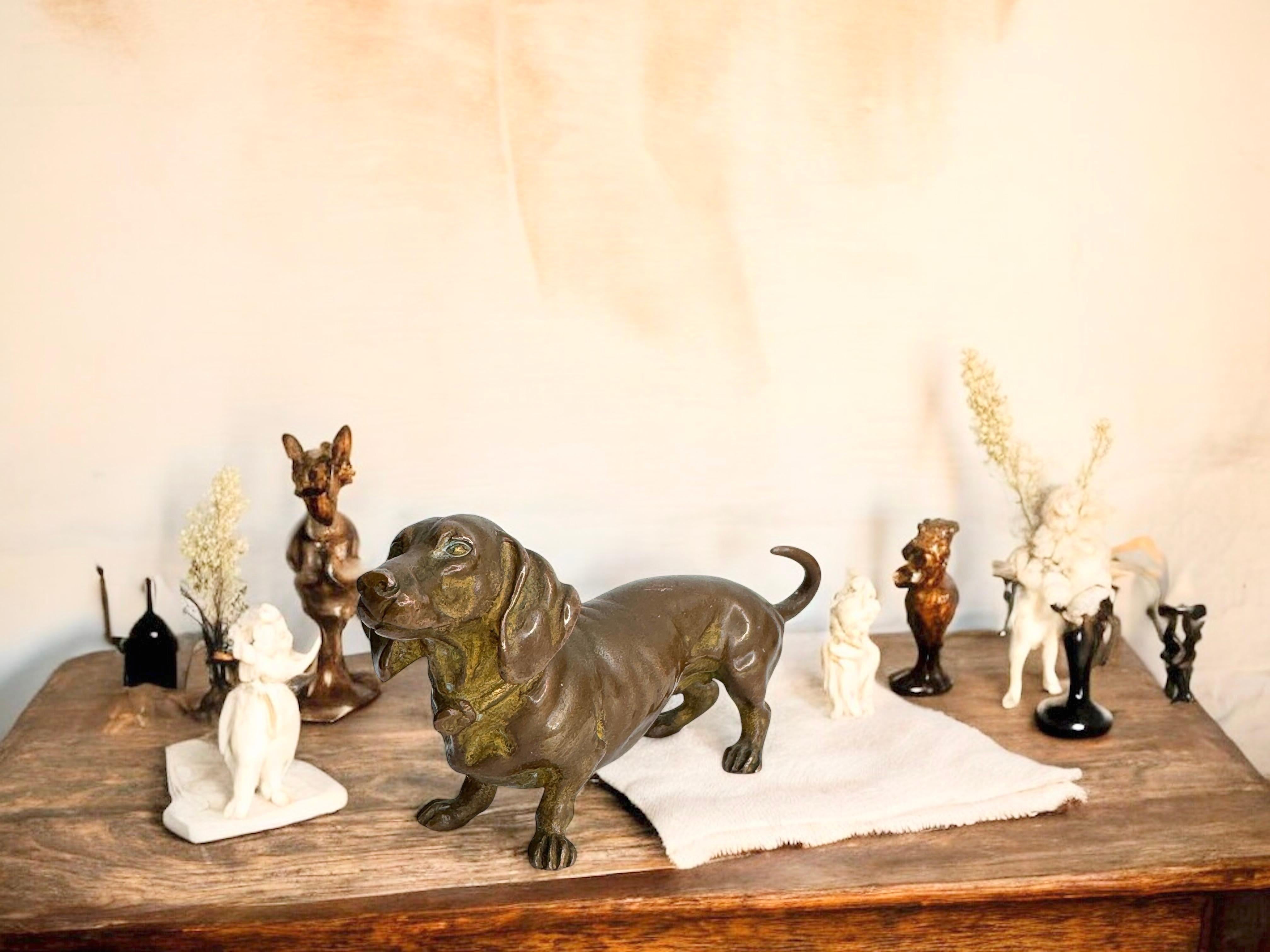 Début 20ème siècle Chien Teckel Autriche Vienne Bronze Figurine miniature 5