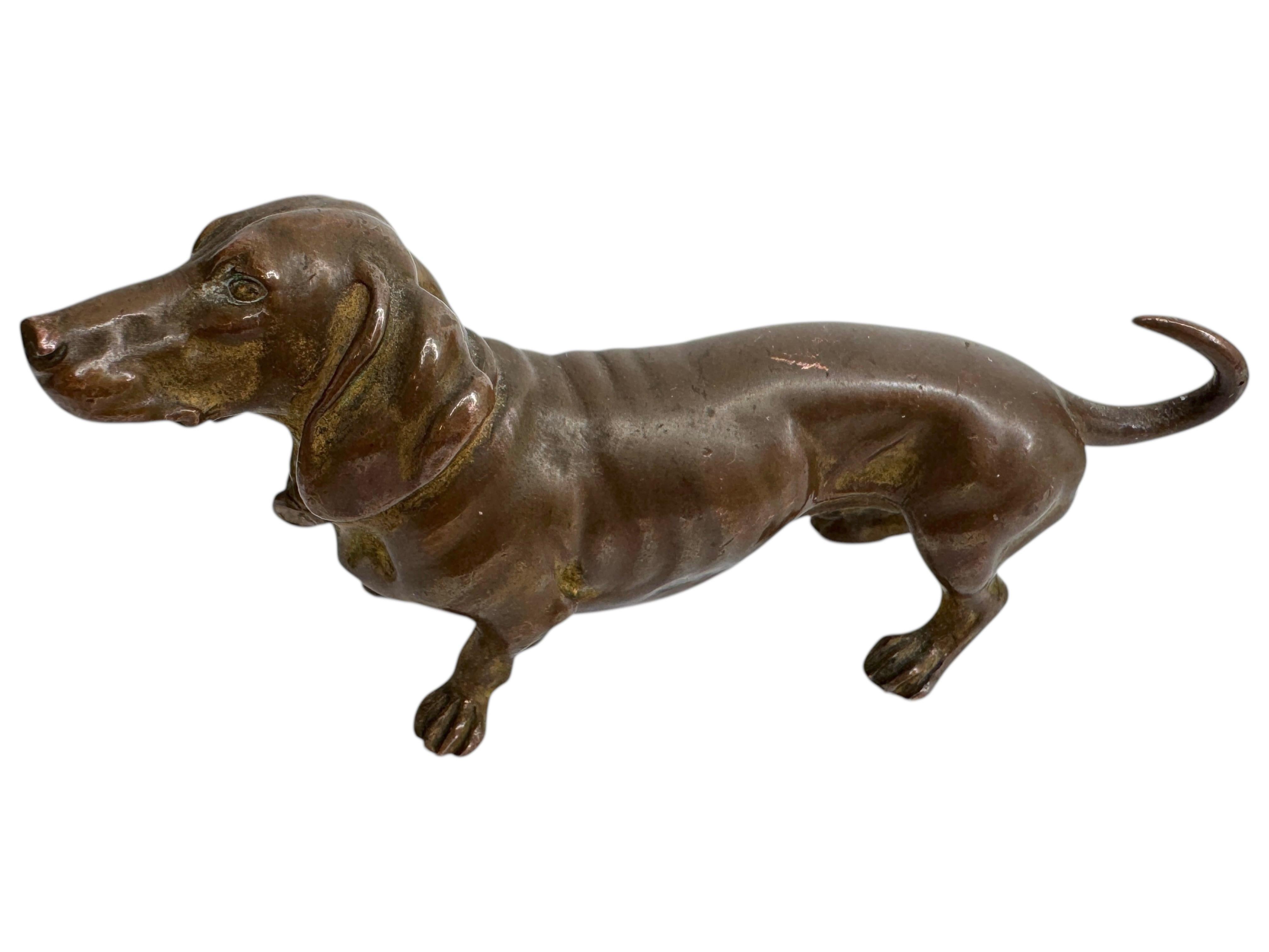Figurine classique en bronze de Vienne du début des années 1900. Ce bronze est probablement indispensable si vous êtes un collectionneur de bronzes de Vienne ou d'objets en teckel. Trouvé dans une vente immobilière à Klagenfurt, en Autriche. Il ne