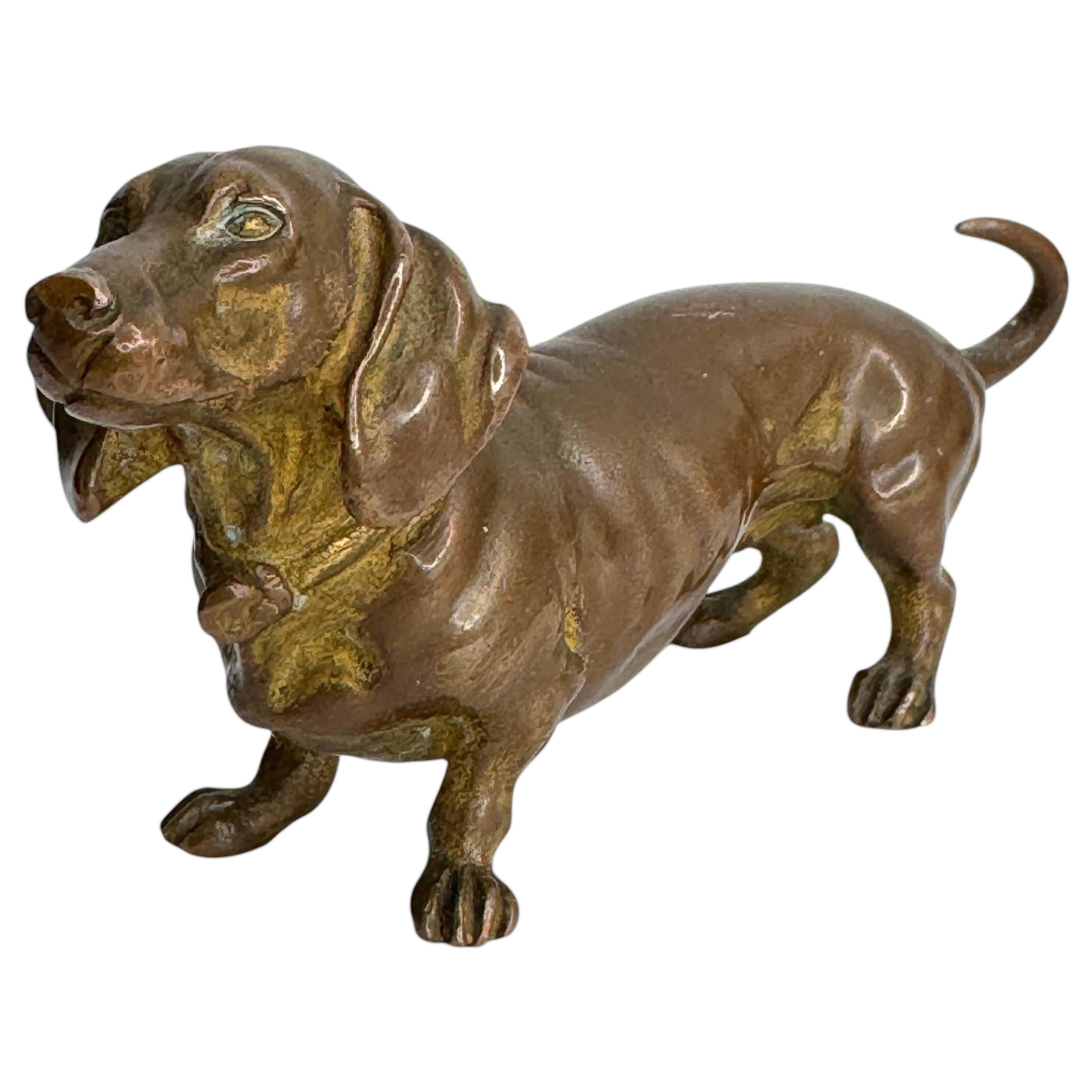 Art nouveau Début 20ème siècle Chien Teckel Autriche Vienne Bronze Figurine miniature