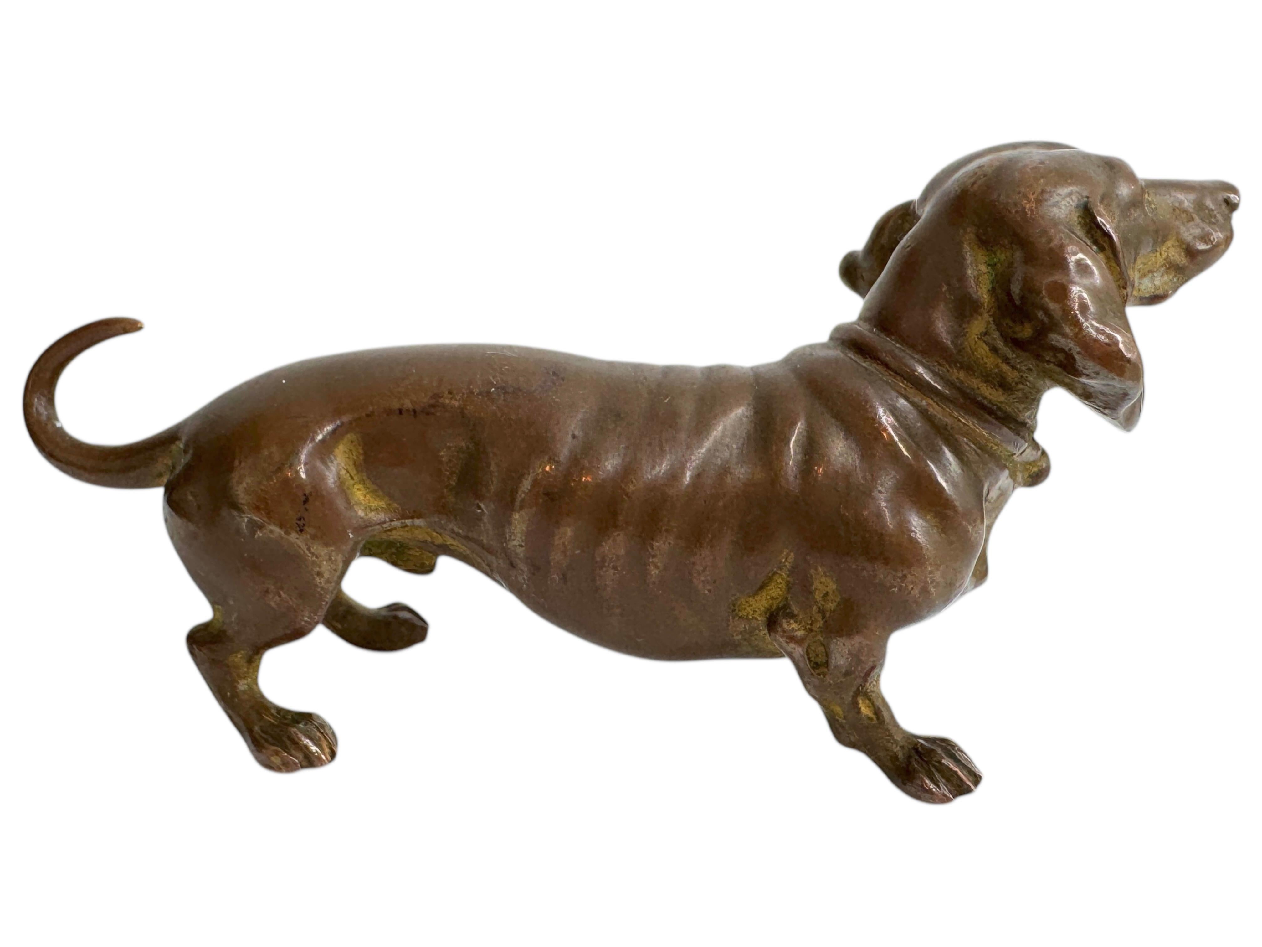Peint à la main Début 20ème siècle Chien Teckel Autriche Vienne Bronze Figurine miniature