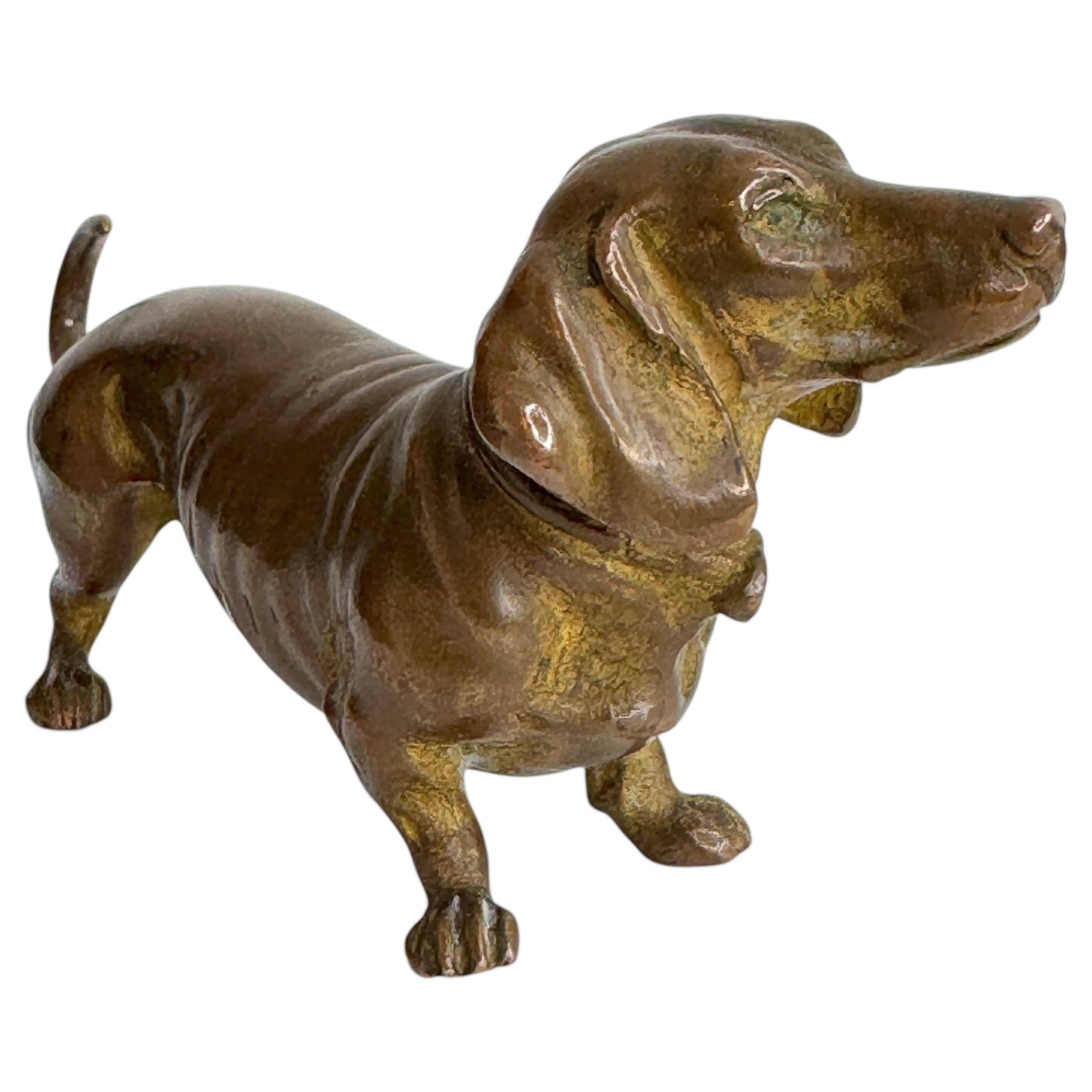 Début 20ème siècle Chien Teckel Autriche Vienne Bronze Figurine miniature 1