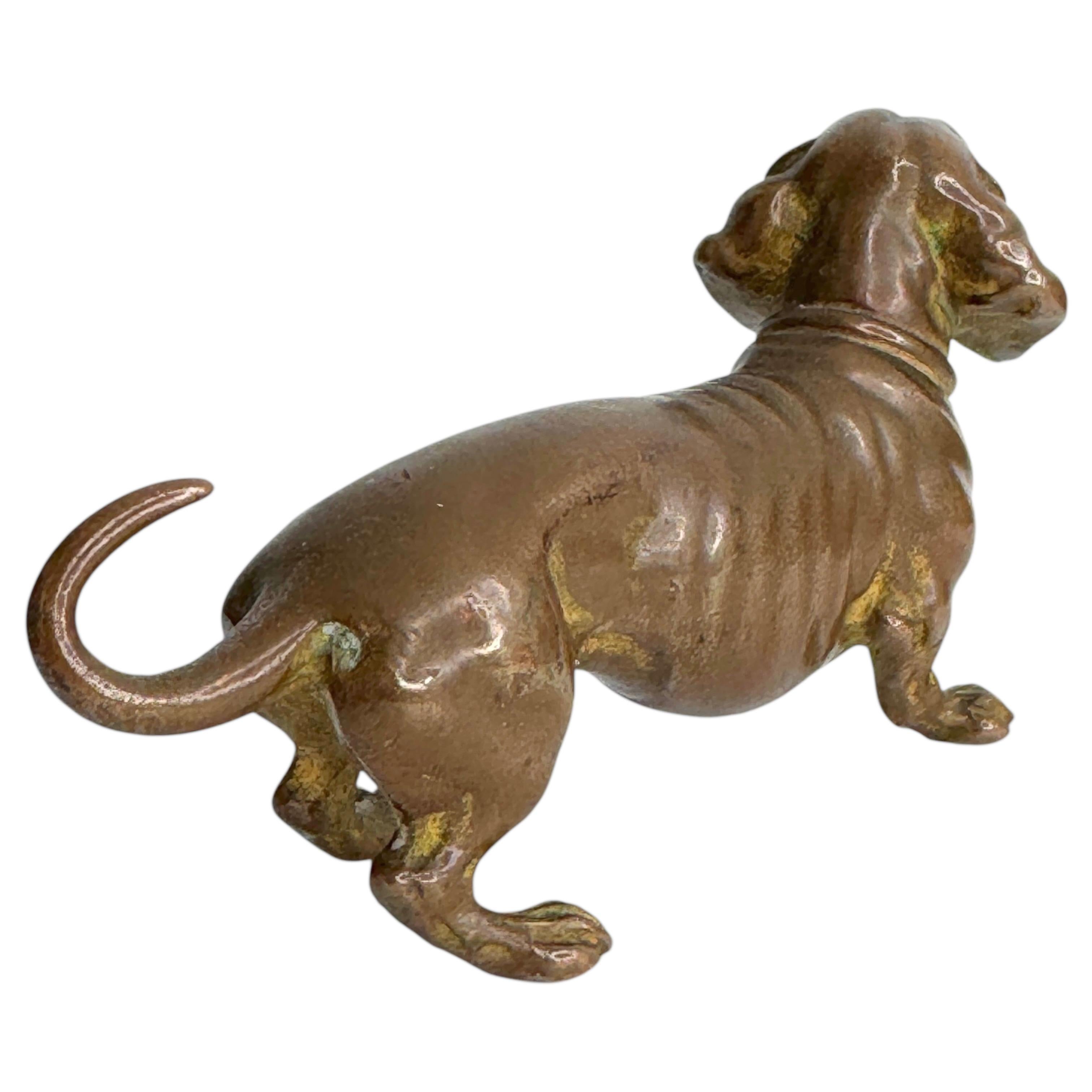 Début 20ème siècle Chien Teckel Autriche Vienne Bronze Figurine miniature 2