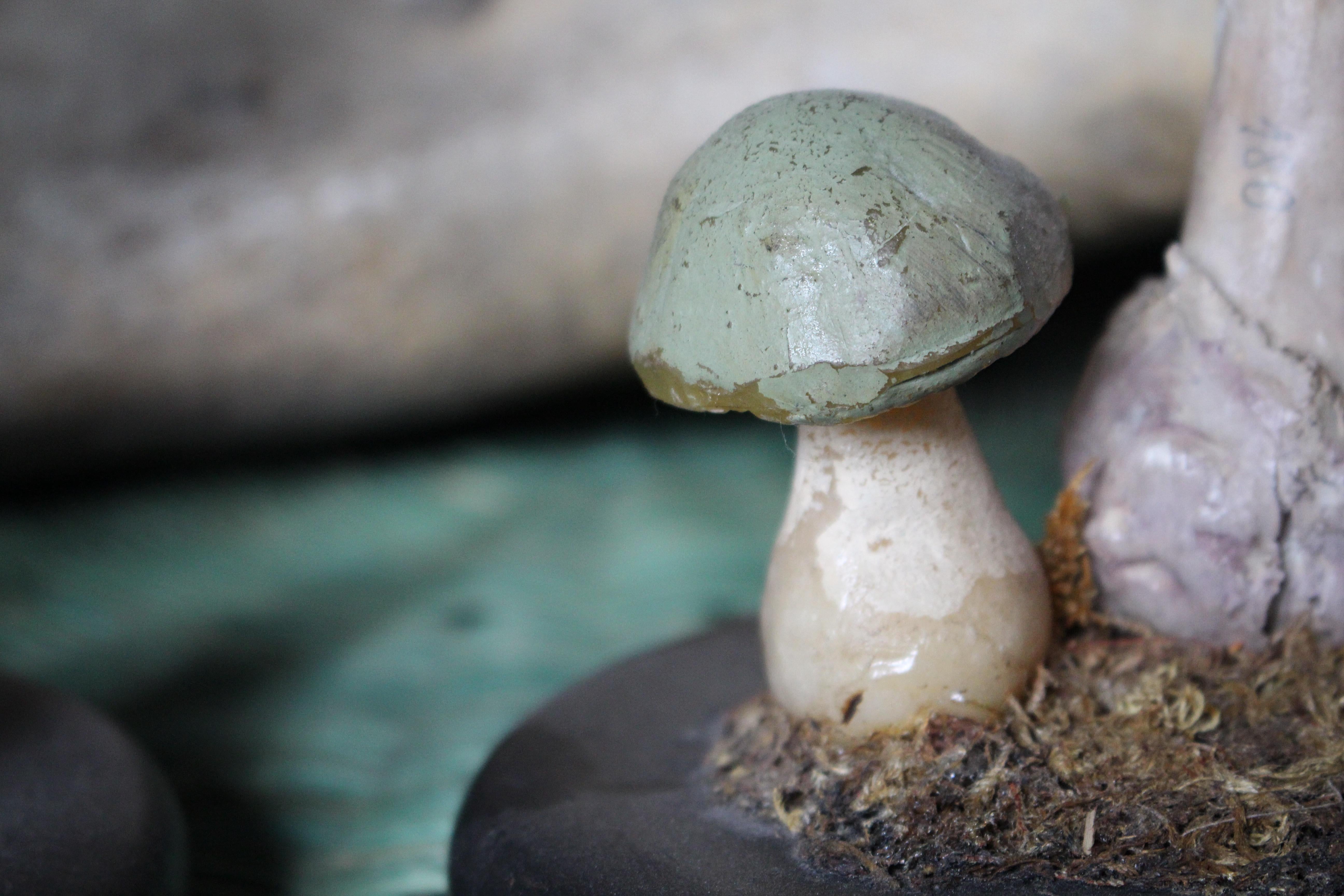 Early 20th Century Death Cap & Fly Agaric Model Fungi Natural History For Sale 7