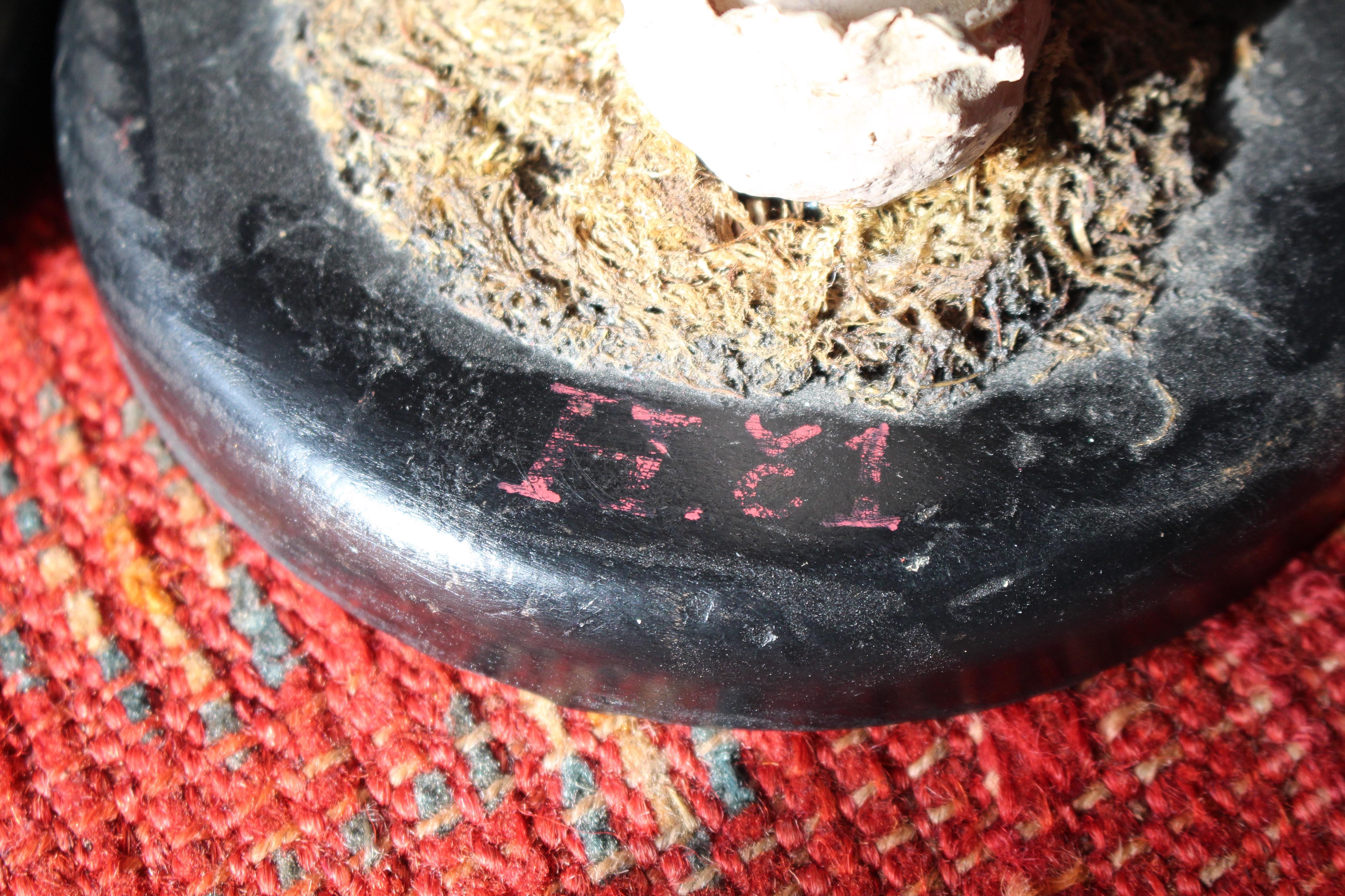 Early 20th Century Death Cap & Fly Agaric Model Fungi Natural History For Sale 14
