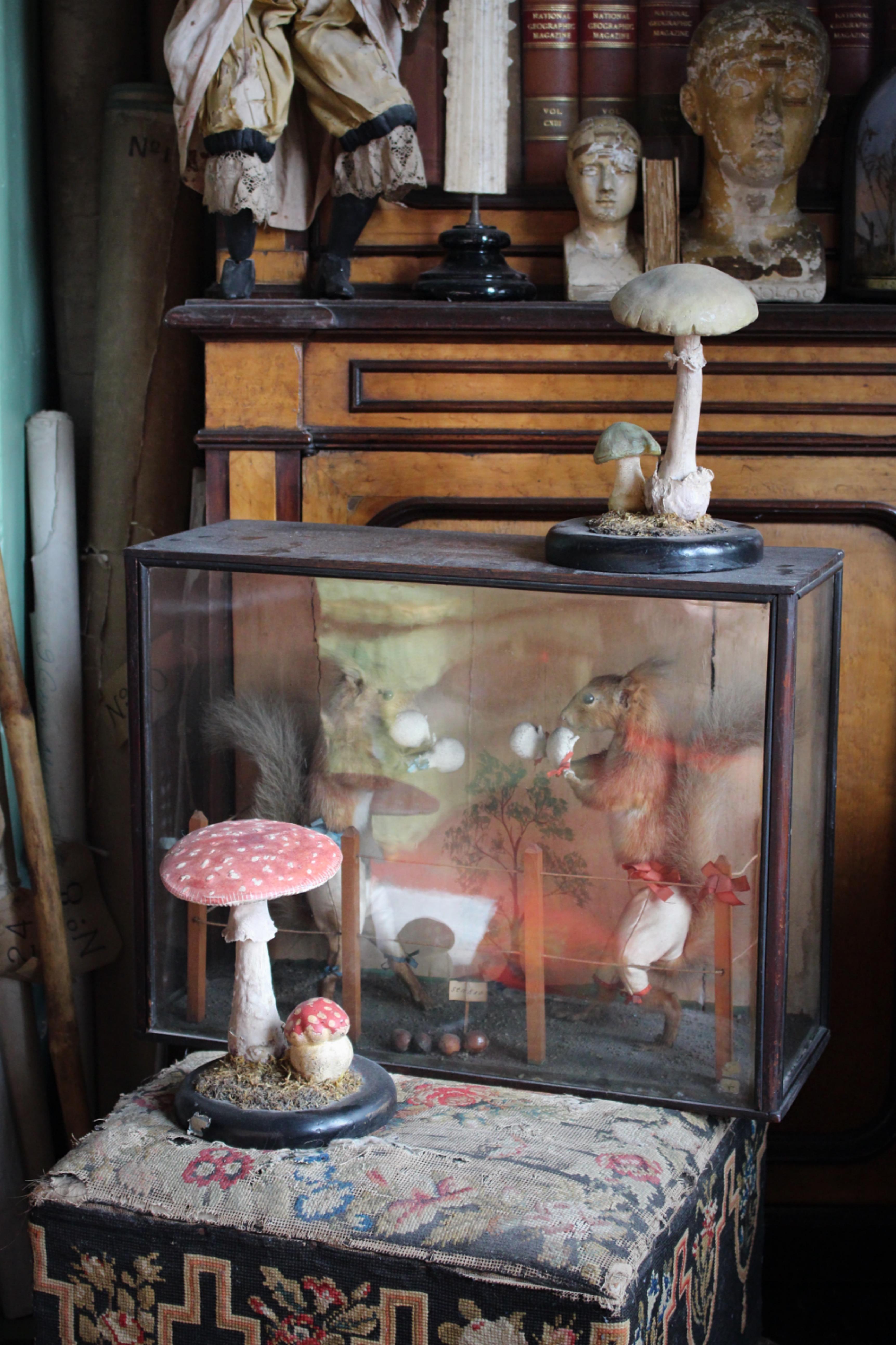 Very well modeled pair of Fungi's, circa 1920/30 in age, European in origins. 

Mounted on turned ebonised bases, each with a moss covered ground. Modeled with a composite paper mache and hand painted. 

Some old museum labels and numbers, the red