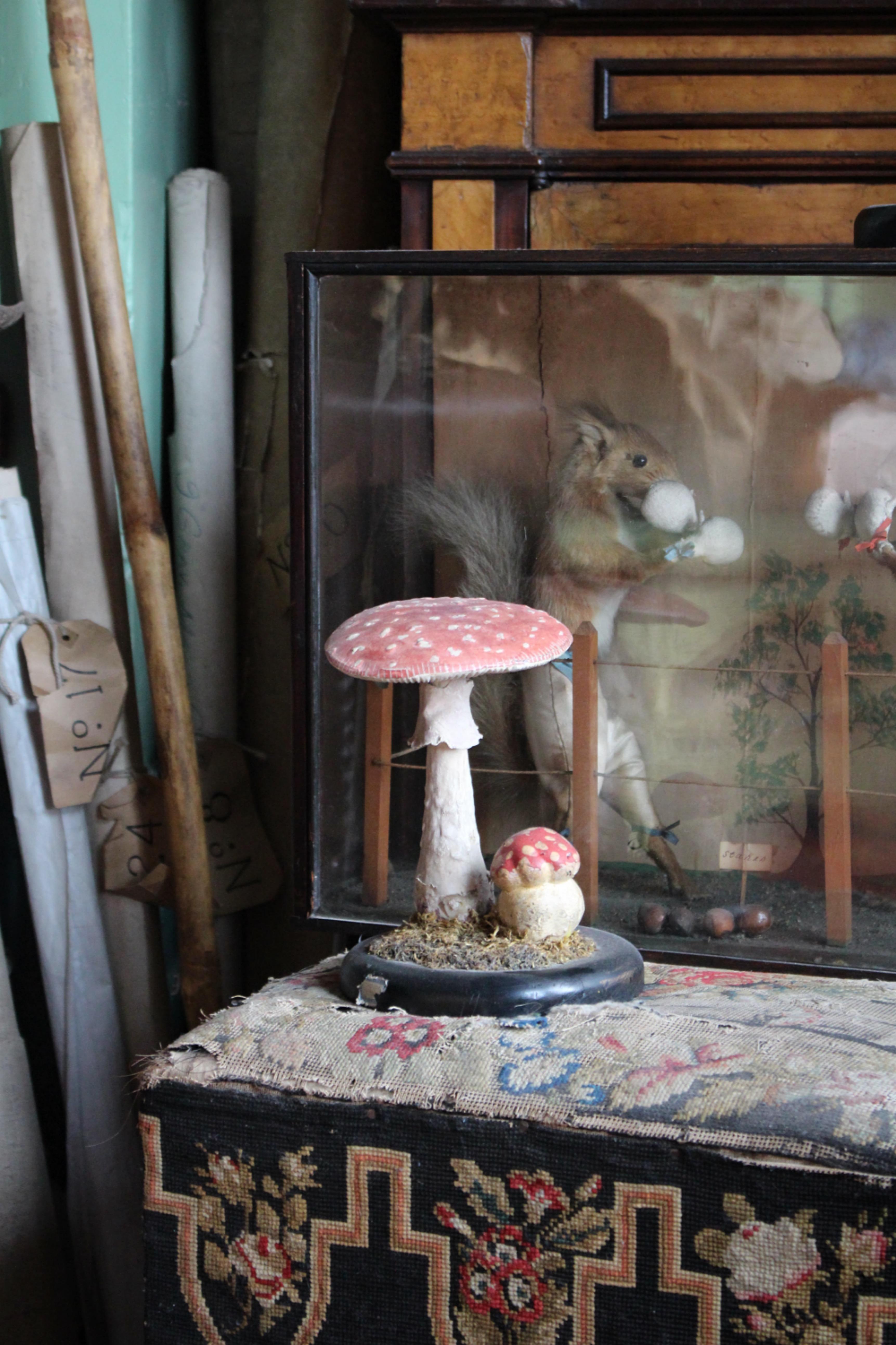 European Early 20th Century Death Cap & Fly Agaric Model Fungi Natural History For Sale