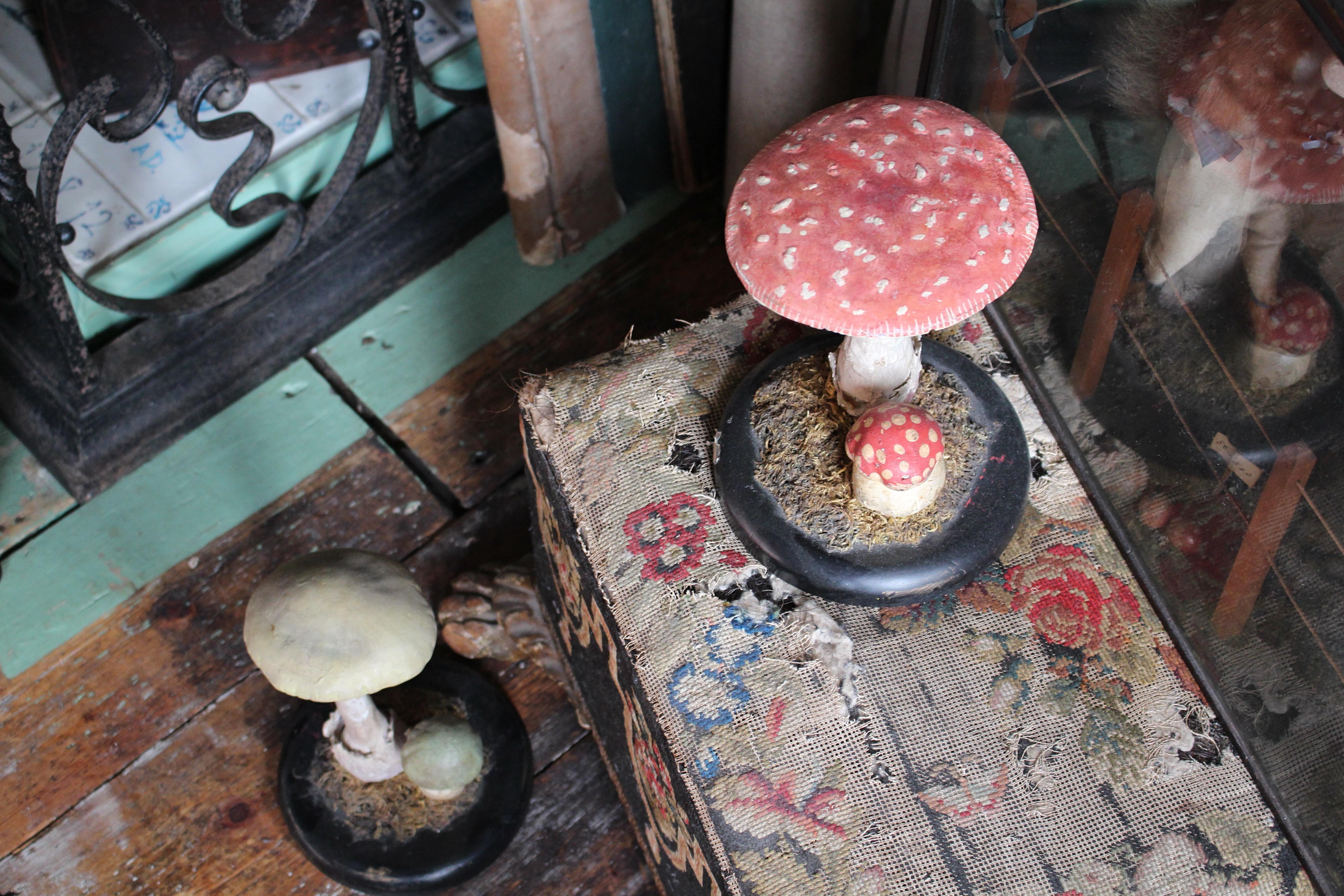 Early 20th Century Death Cap & Fly Agaric Model Fungi Natural History In Good Condition For Sale In Lowestoft, GB